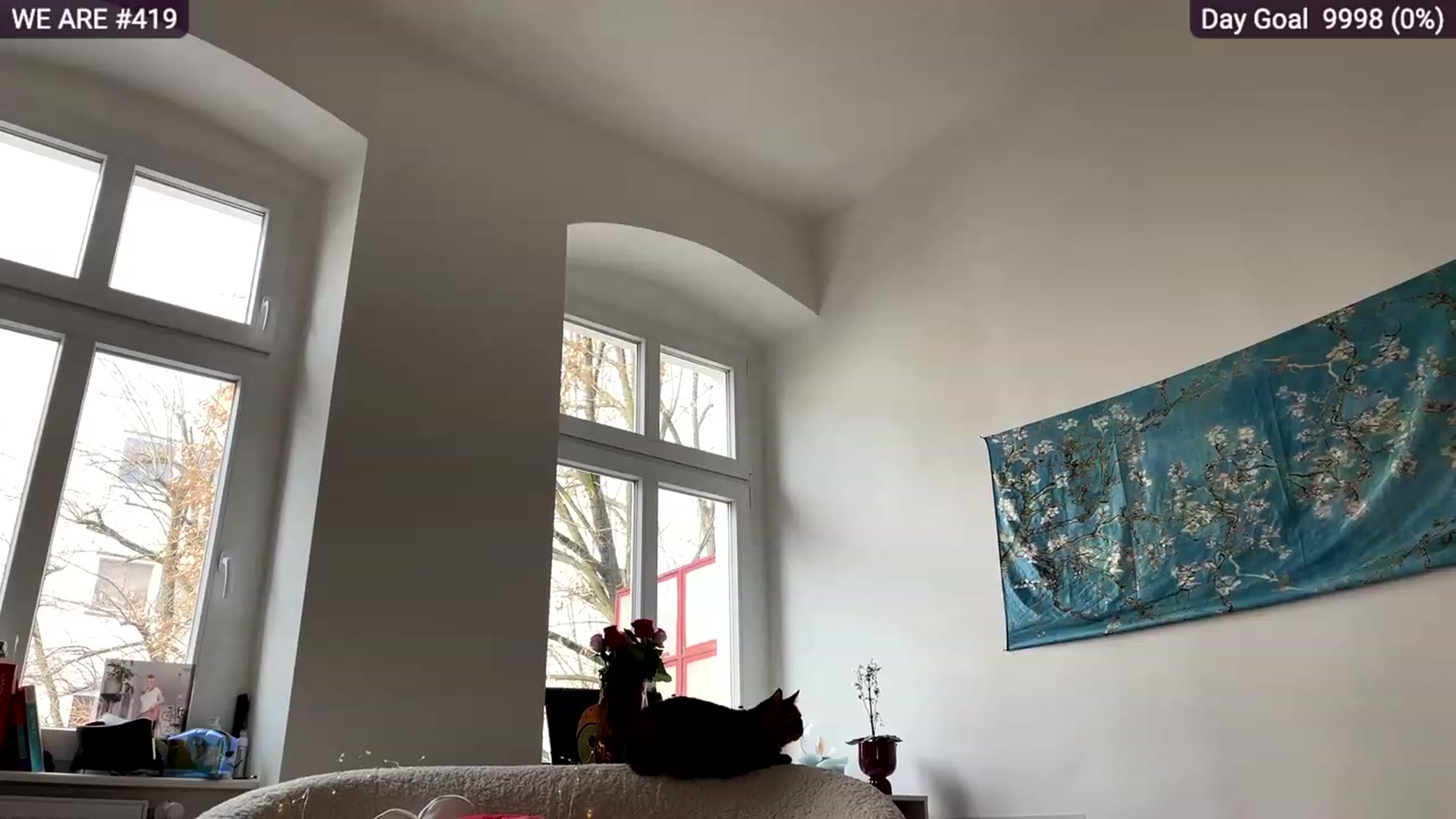 Gallery image thumbnail from SassySuz_'s myfreecams stream on, 12/20/2022, 13:16 image 8 of 20