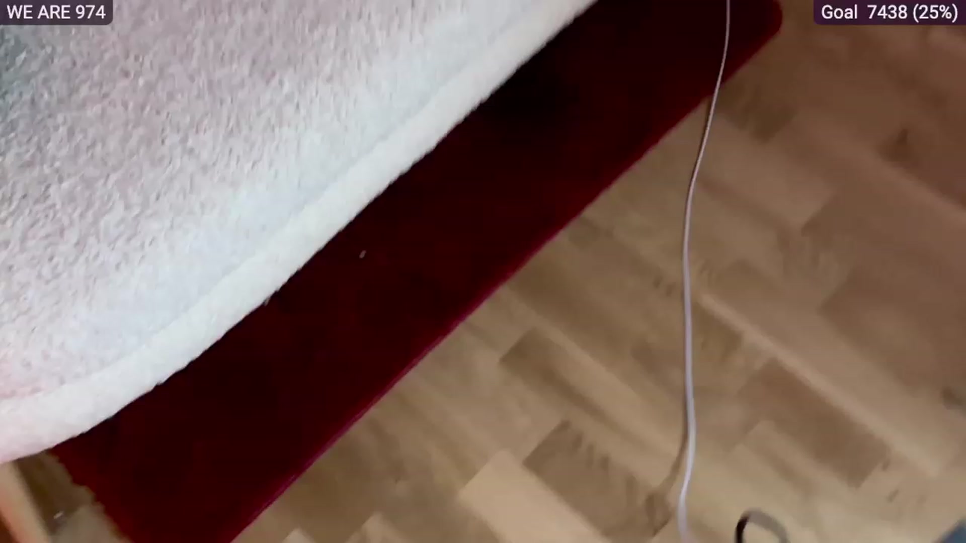 Gallery image thumbnail from SassySuz_'s myfreecams stream on, 02/20/2023, 01:13 image 15 of 20