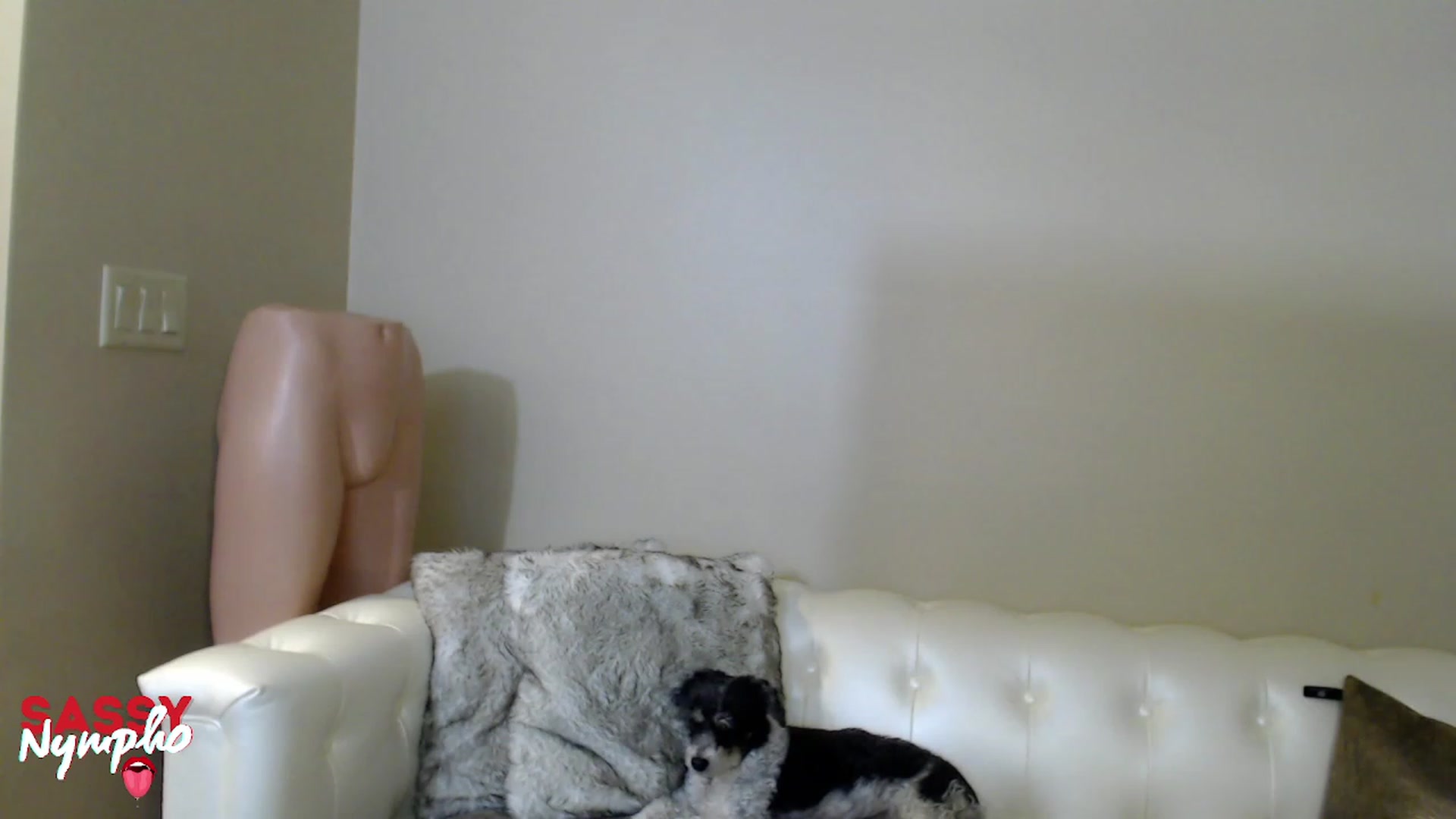 Gallery image thumbnail from Sassy_Nympho's myfreecams stream on, 12/18/2022, 09:40 image 18 of 20