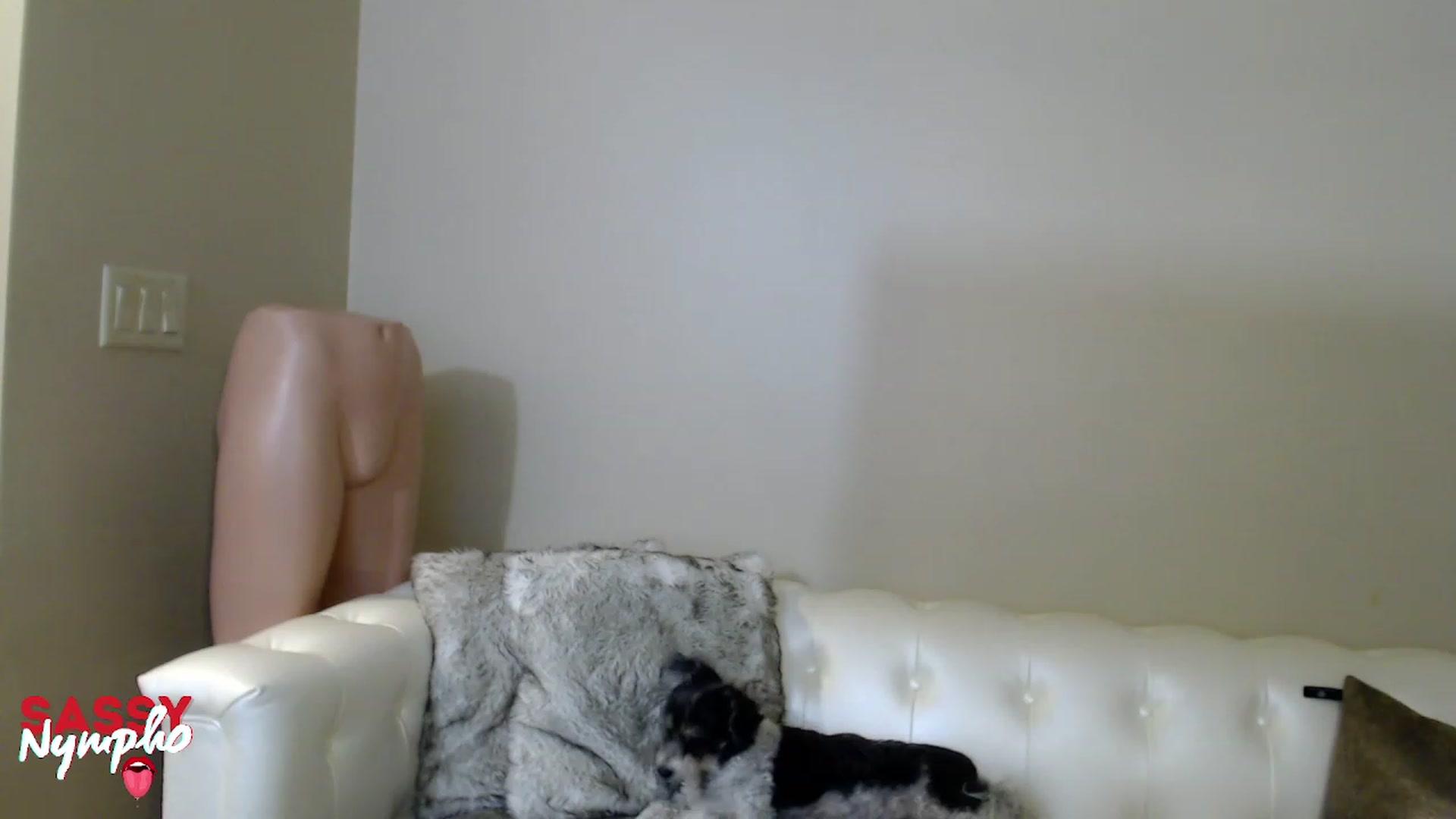 Gallery image thumbnail from Sassy_Nympho's myfreecams stream on, 12/18/2022, 09:40 image 19 of 20