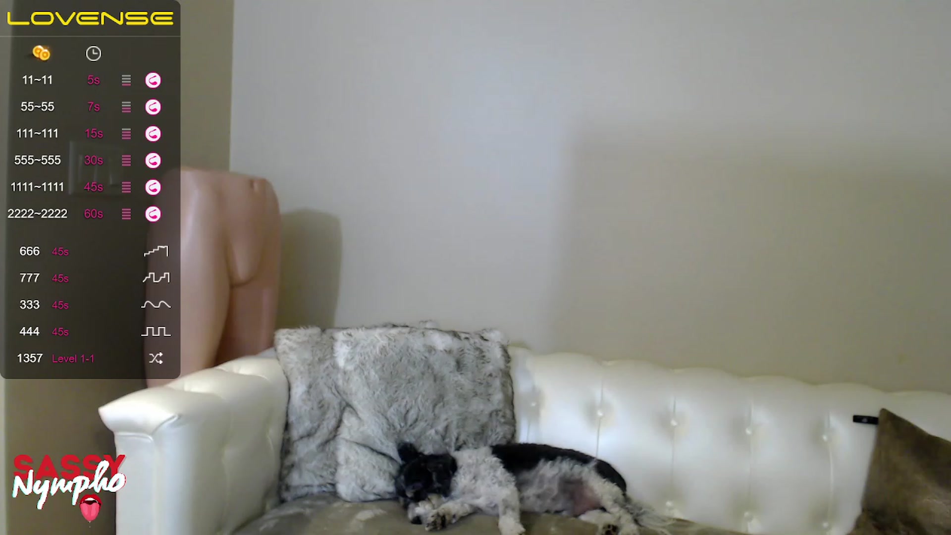 Gallery image thumbnail from Sassy_Nympho's myfreecams stream on, 12/18/2022, 10:45 image 10 of 20