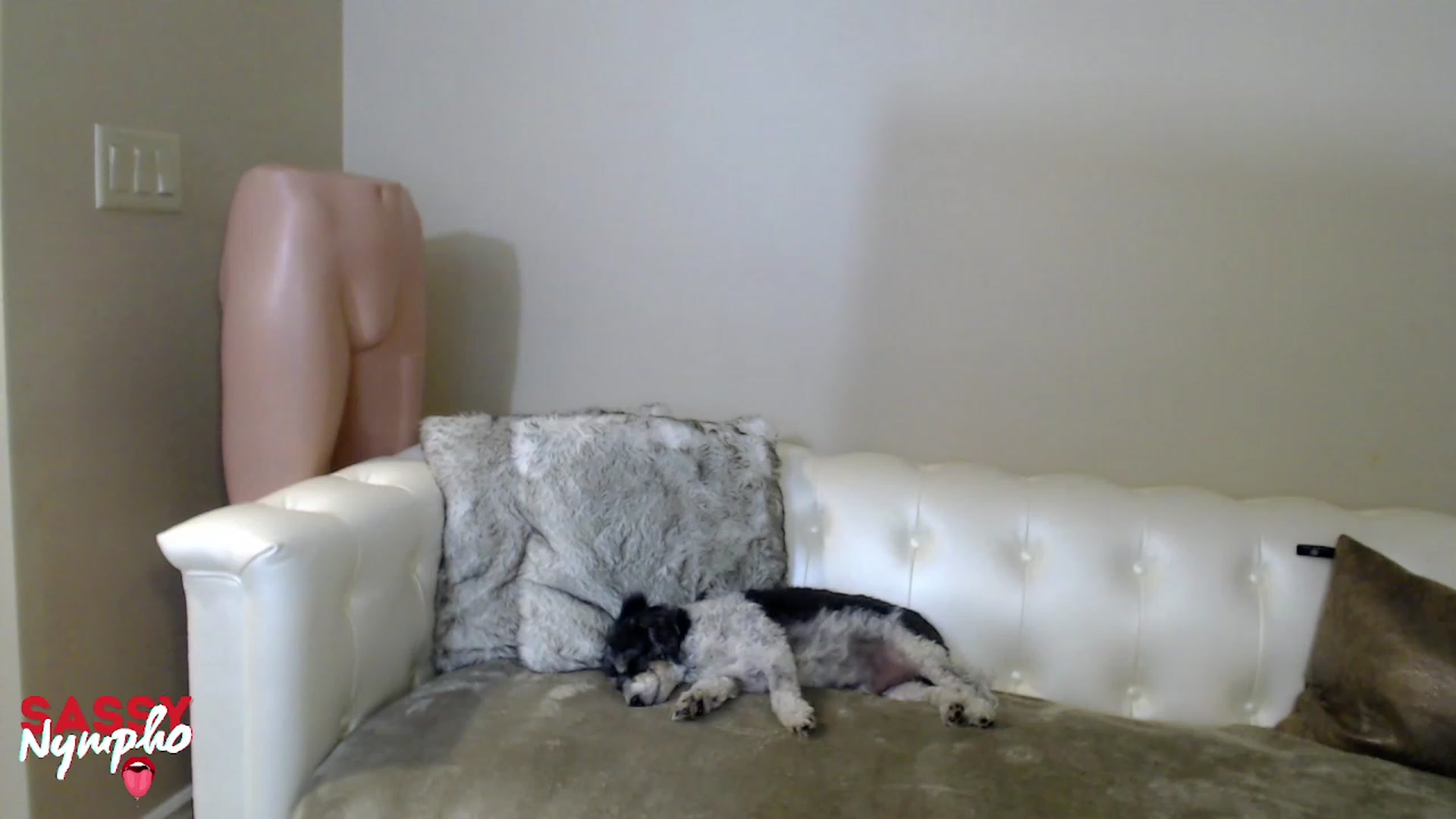 Gallery image thumbnail from Sassy_Nympho's myfreecams stream on, 12/18/2022, 10:45 image 3 of 20