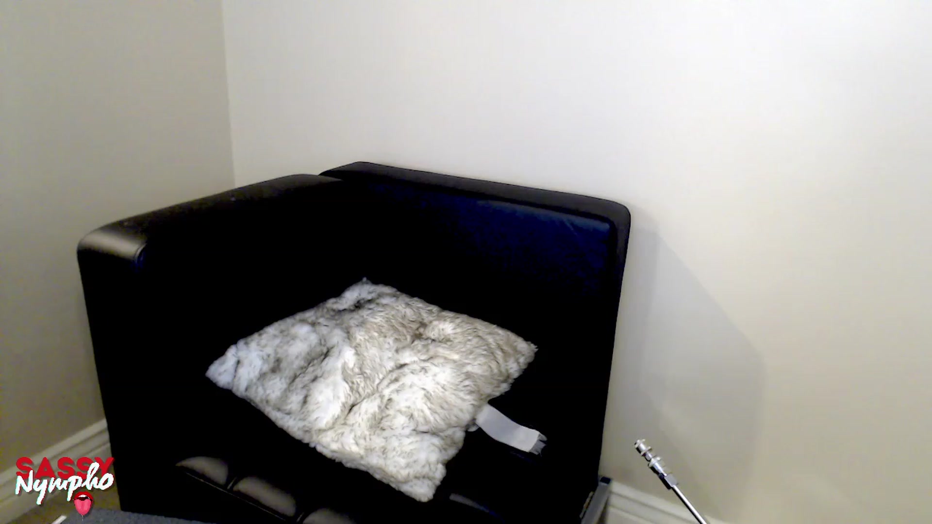 Gallery image thumbnail from Sassy_Nympho's myfreecams stream on, 01/13/2023, 14:32 image 14 of 20