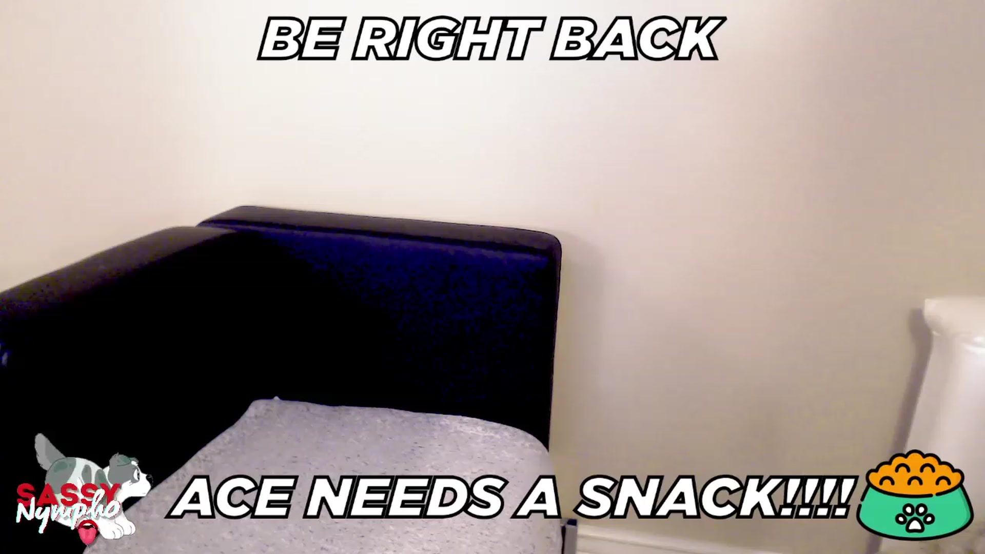 Gallery image thumbnail from Sassy_Nympho's myfreecams stream on, 01/15/2023, 06:22 image 1 of 20