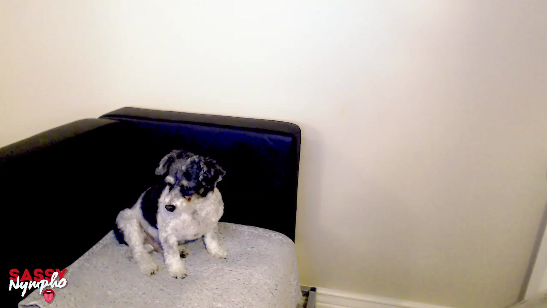 Gallery image thumbnail from Sassy_Nympho's myfreecams stream on, 01/15/2023, 06:53 image 6 of 20