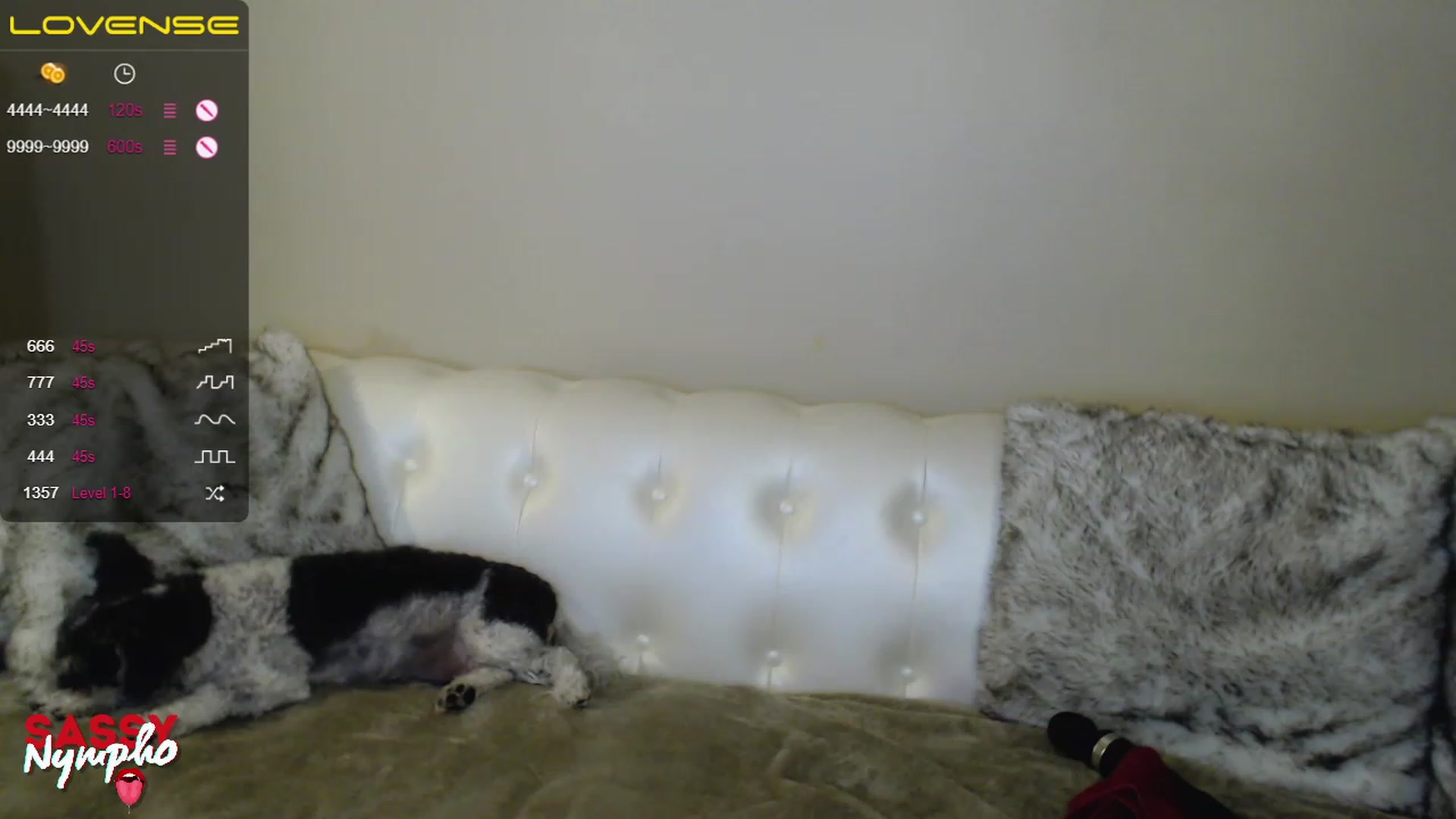 Gallery image thumbnail from Sassy_Nympho's myfreecams stream on, 01/21/2023, 16:17 image 3 of 20