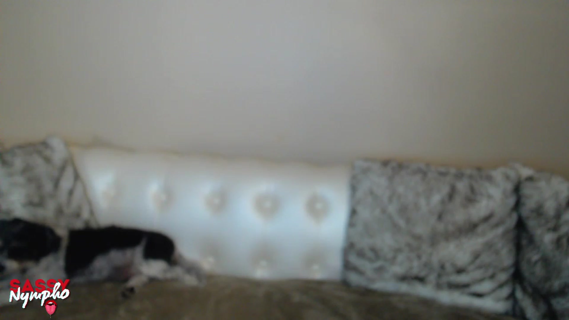 Gallery image thumbnail from Sassy_Nympho's myfreecams stream on, 01/21/2023, 18:42 image 8 of 20