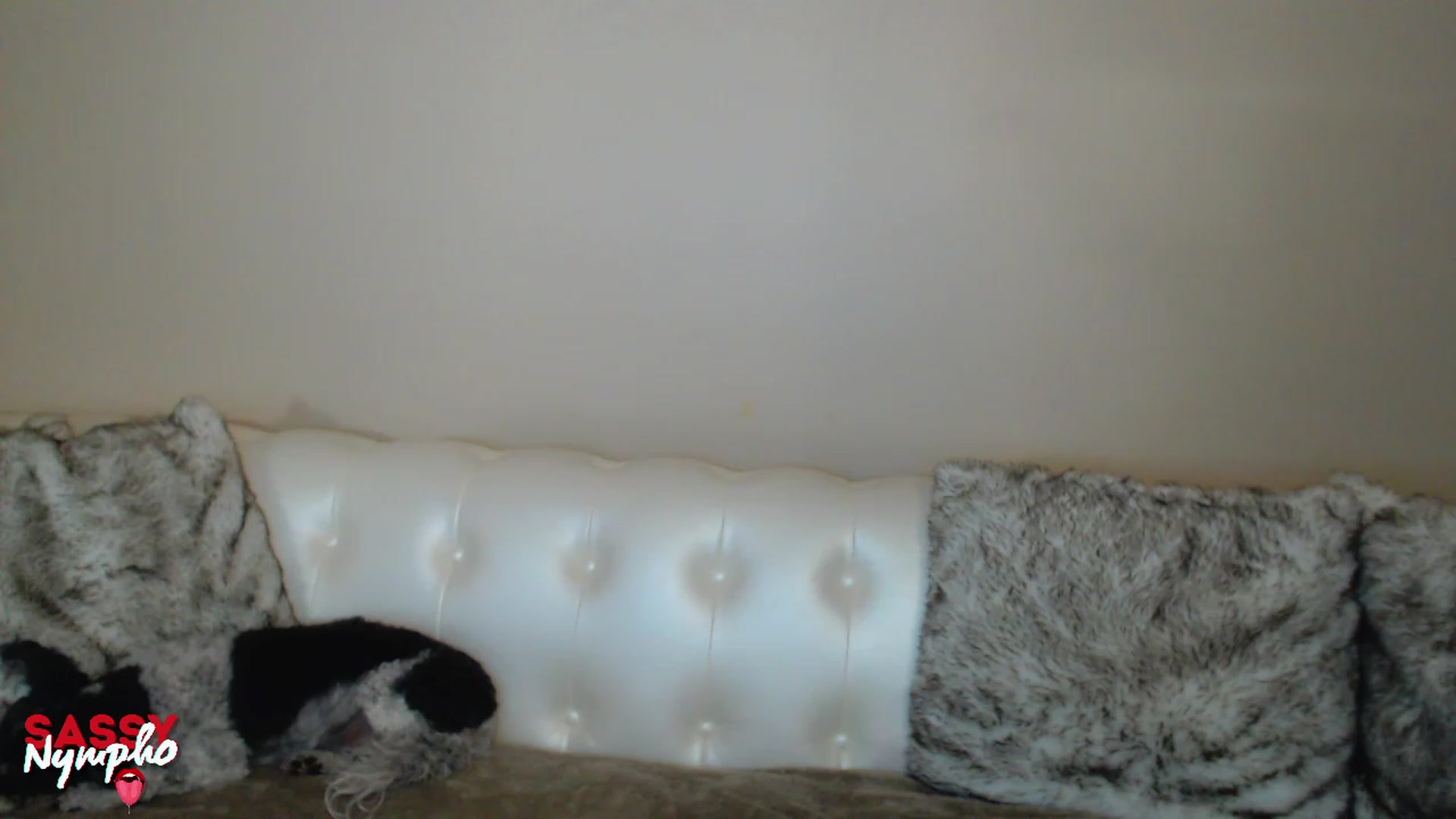 Gallery image thumbnail from Sassy_Nympho's myfreecams stream on, 01/21/2023, 18:42 image 3 of 20