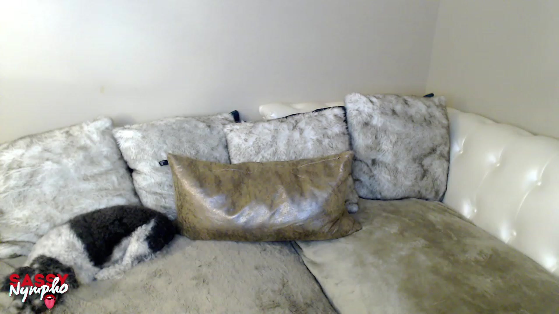 Gallery image thumbnail from Sassy_Nympho's myfreecams stream on, 01/22/2023, 12:52 image 14 of 20