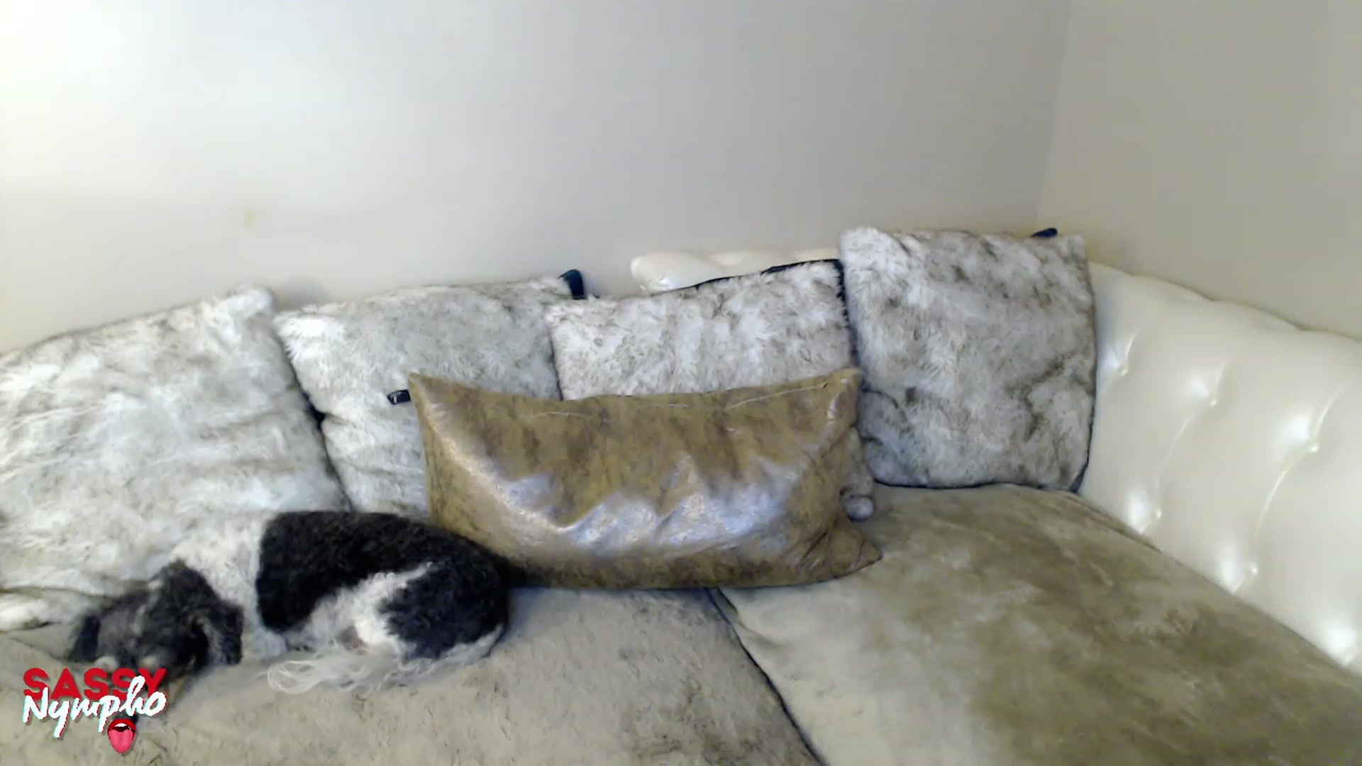 Gallery image thumbnail from Sassy_Nympho's myfreecams stream on, 01/22/2023, 12:52 image 5 of 20