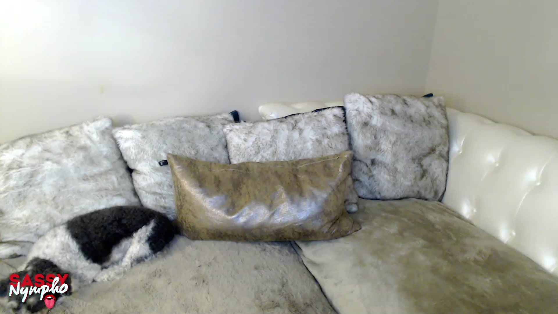 Gallery image thumbnail from Sassy_Nympho's myfreecams stream on, 01/22/2023, 12:52 image 16 of 20