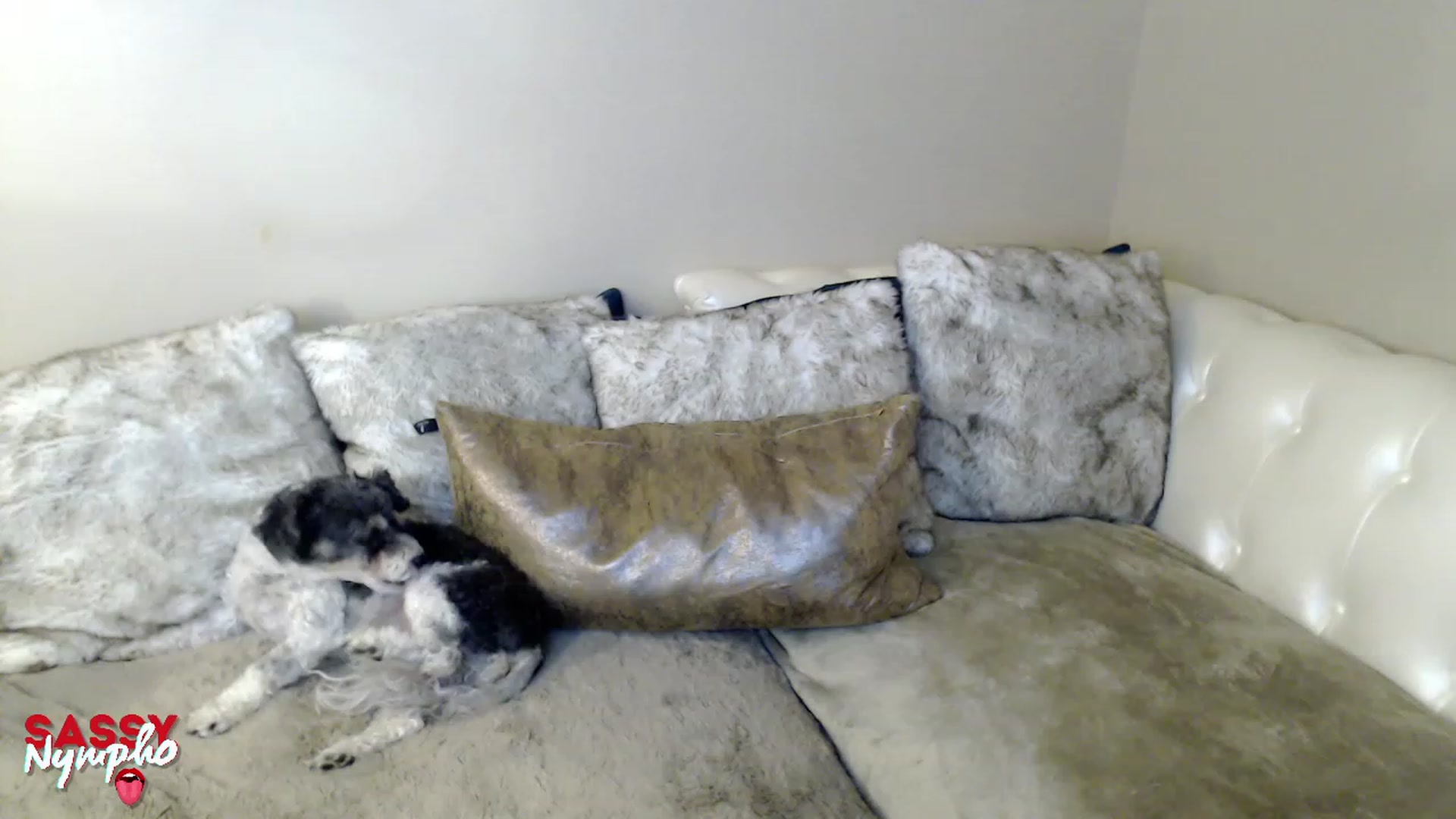 Gallery image thumbnail from Sassy_Nympho's myfreecams stream on, 01/22/2023, 12:52 image 7 of 20