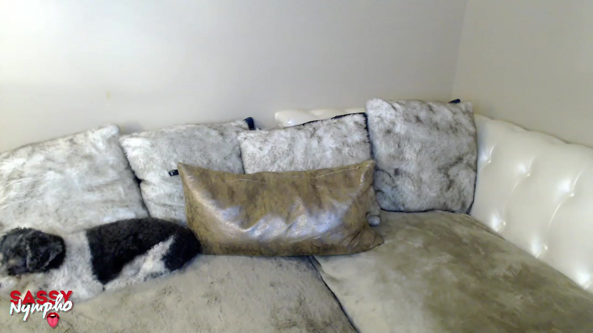 Gallery image thumbnail from Sassy_Nympho's myfreecams stream on, 01/22/2023, 12:52 image 8 of 20