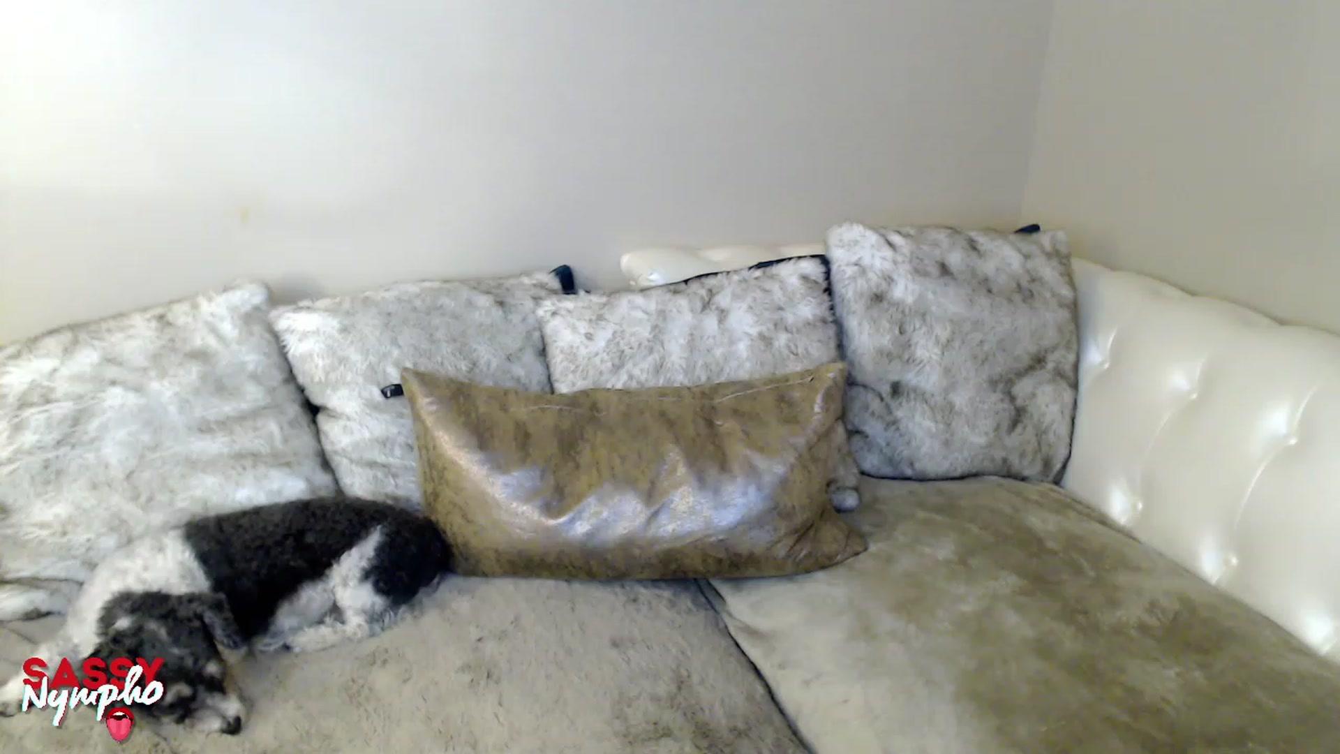Gallery image thumbnail from Sassy_Nympho's myfreecams stream on, 01/22/2023, 12:52 image 13 of 20