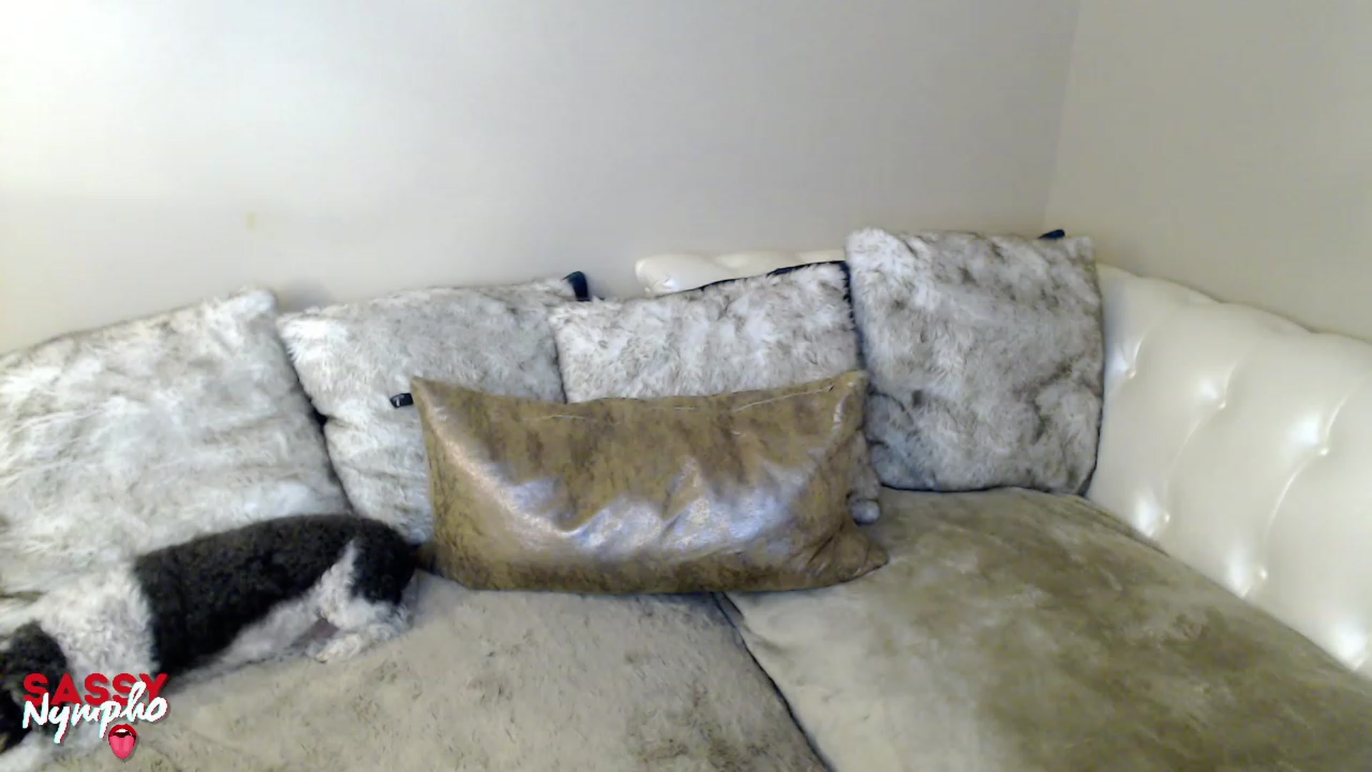 Gallery image thumbnail from Sassy_Nympho's myfreecams stream on, 01/22/2023, 12:52 image 18 of 20