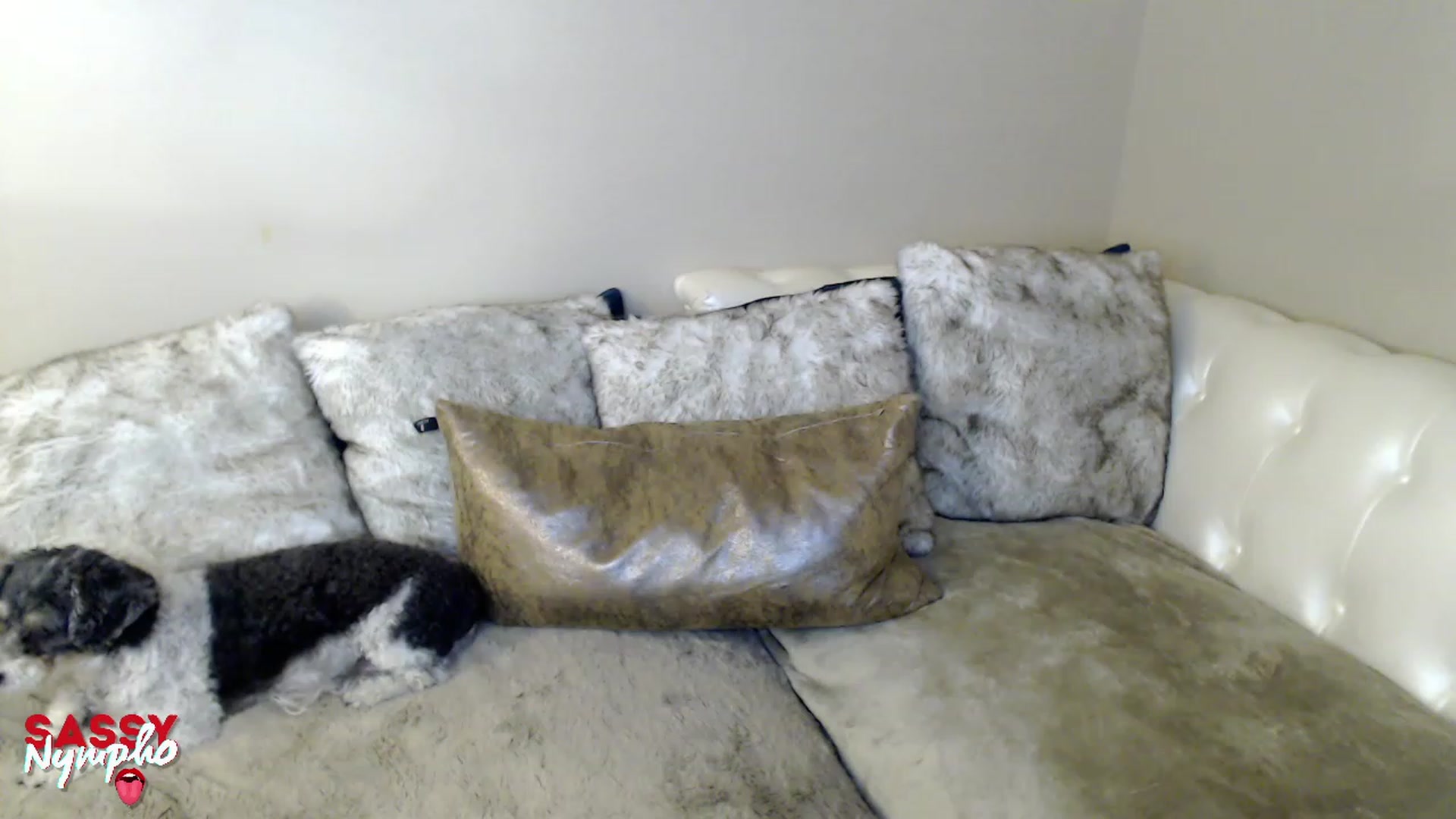 Gallery image thumbnail from Sassy_Nympho's myfreecams stream on, 01/22/2023, 12:52 image 9 of 20