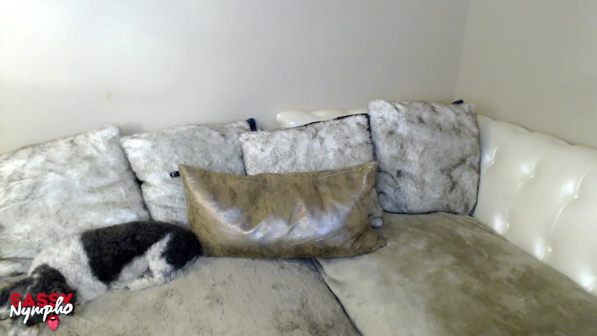 Gallery image thumbnail from Sassy_Nympho's myfreecams stream on, 01/22/2023, 12:52 image 12 of 20
