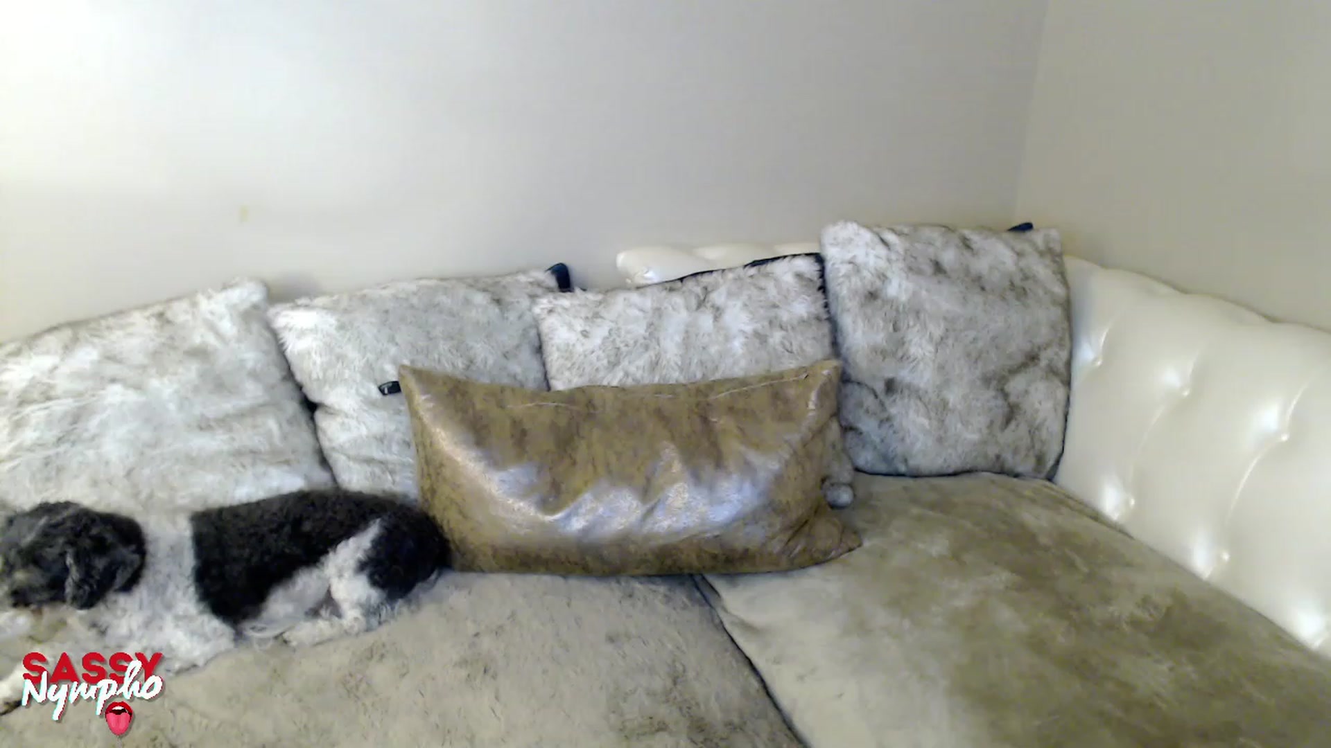 Gallery image thumbnail from Sassy_Nympho's myfreecams stream on, 01/22/2023, 12:52 image 11 of 20