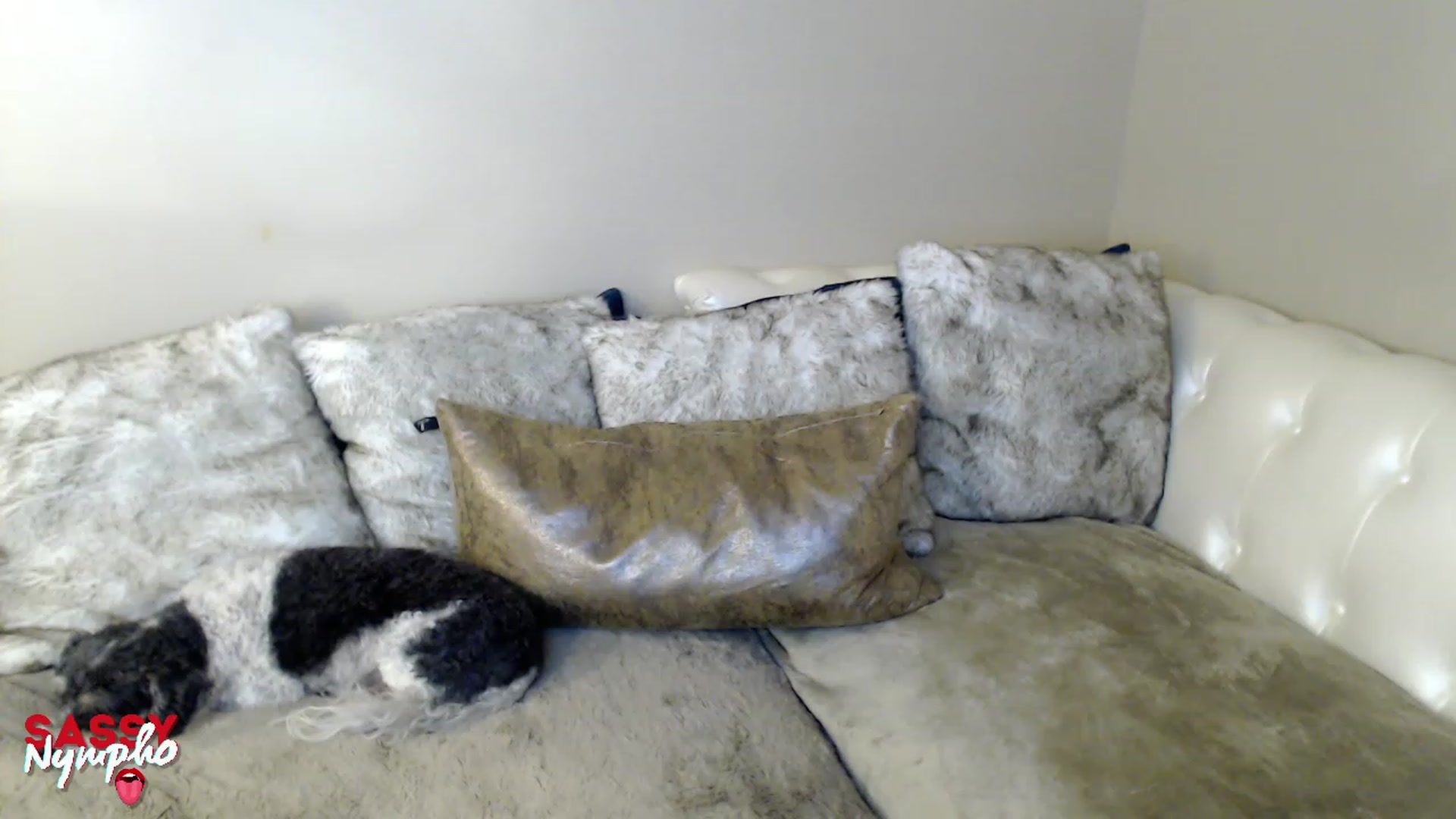Gallery image thumbnail from Sassy_Nympho's myfreecams stream on, 01/22/2023, 12:52 image 6 of 20