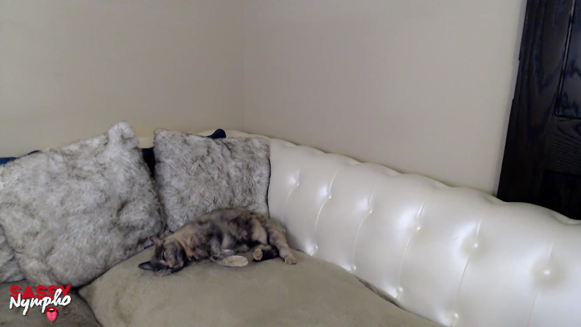Gallery image thumbnail from Sassy_Nympho's myfreecams stream on, 01/26/2023, 14:28 image 1 of 20
