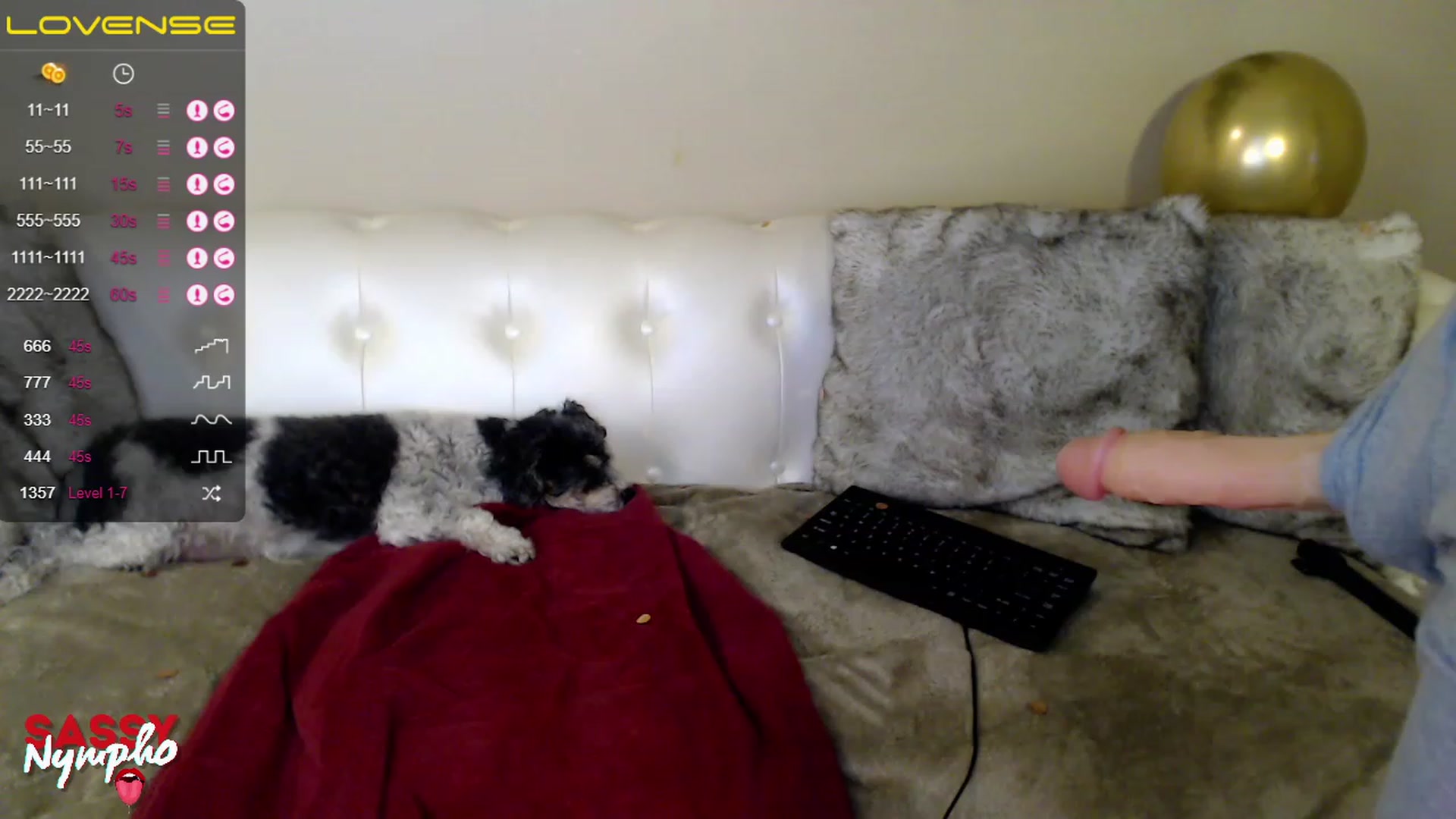 Gallery image thumbnail from Sassy_Nympho's myfreecams stream on, 02/04/2023, 16:23 image 9 of 20