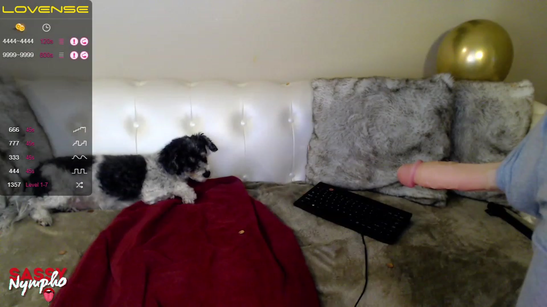 Gallery image thumbnail from Sassy_Nympho's myfreecams stream on, 02/04/2023, 16:23 image 7 of 20