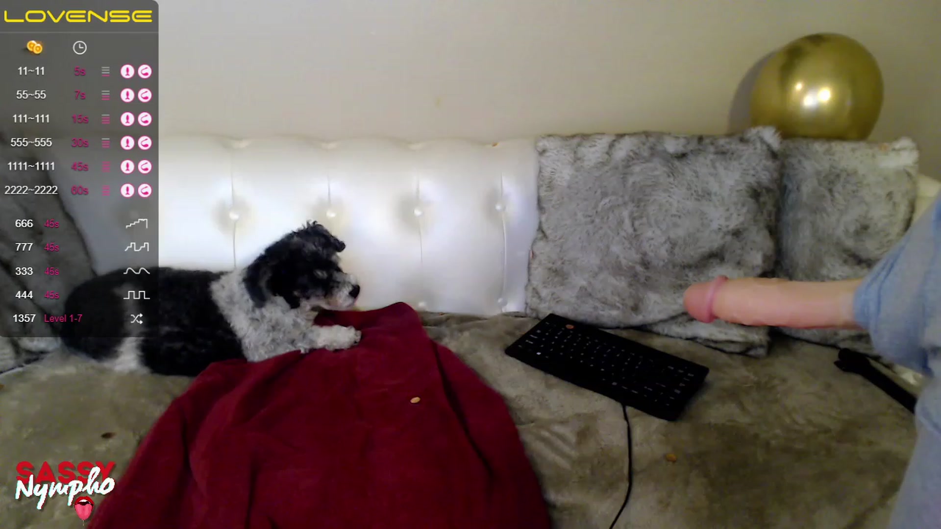Gallery image thumbnail from Sassy_Nympho's myfreecams stream on, 02/04/2023, 16:23 image 6 of 20