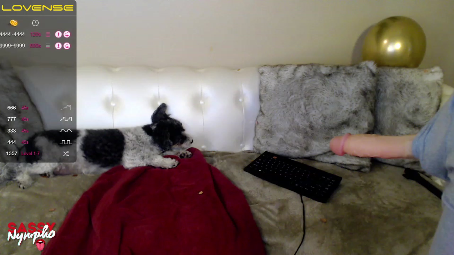 Gallery image thumbnail from Sassy_Nympho's myfreecams stream on, 02/04/2023, 16:23 image 8 of 20