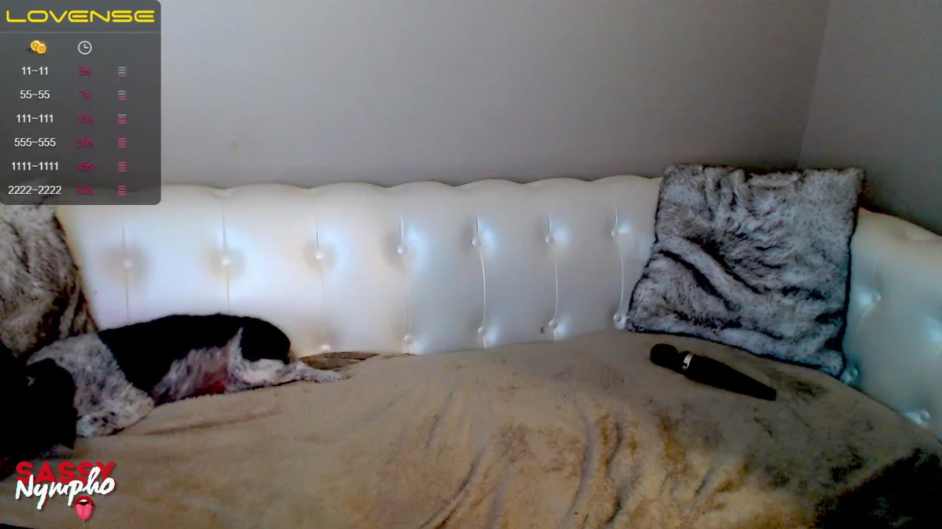 Gallery image thumbnail from Sassy_Nympho's myfreecams stream on, 02/23/2023, 08:54 image 11 of 20
