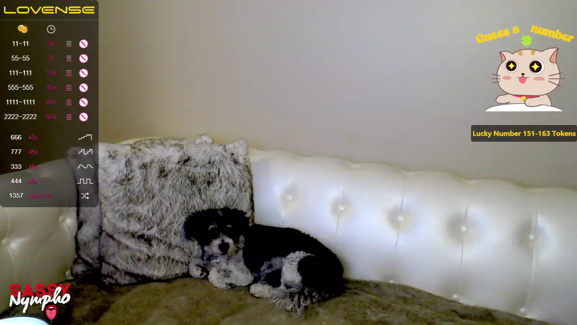 Gallery image thumbnail from Sassy_Nympho's myfreecams stream on, 03/23/2023, 15:13 image 4 of 20