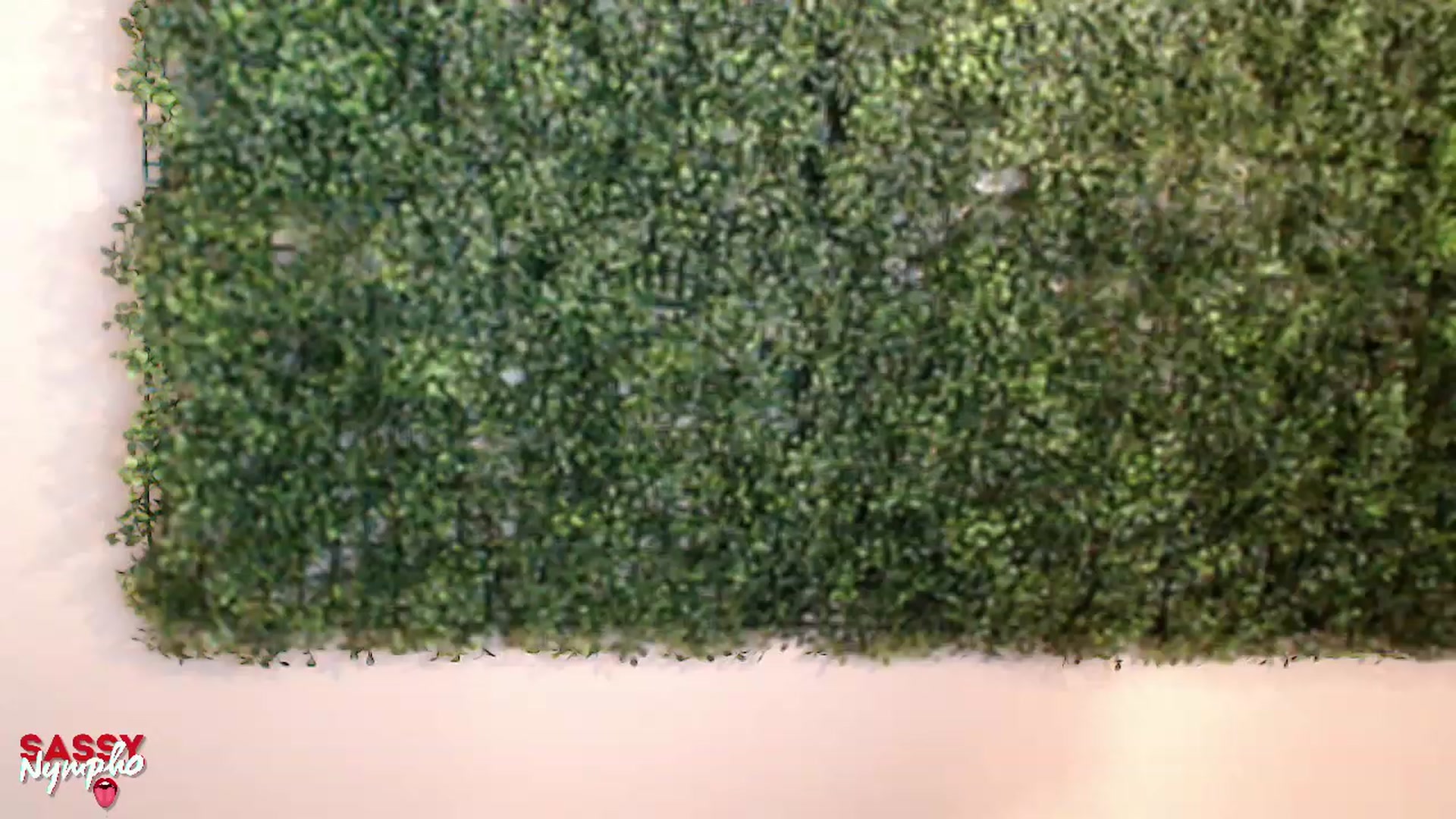 Gallery image thumbnail from Sassy_Nympho's myfreecams stream on, 06/03/2023, 02:06 image 14 of 20