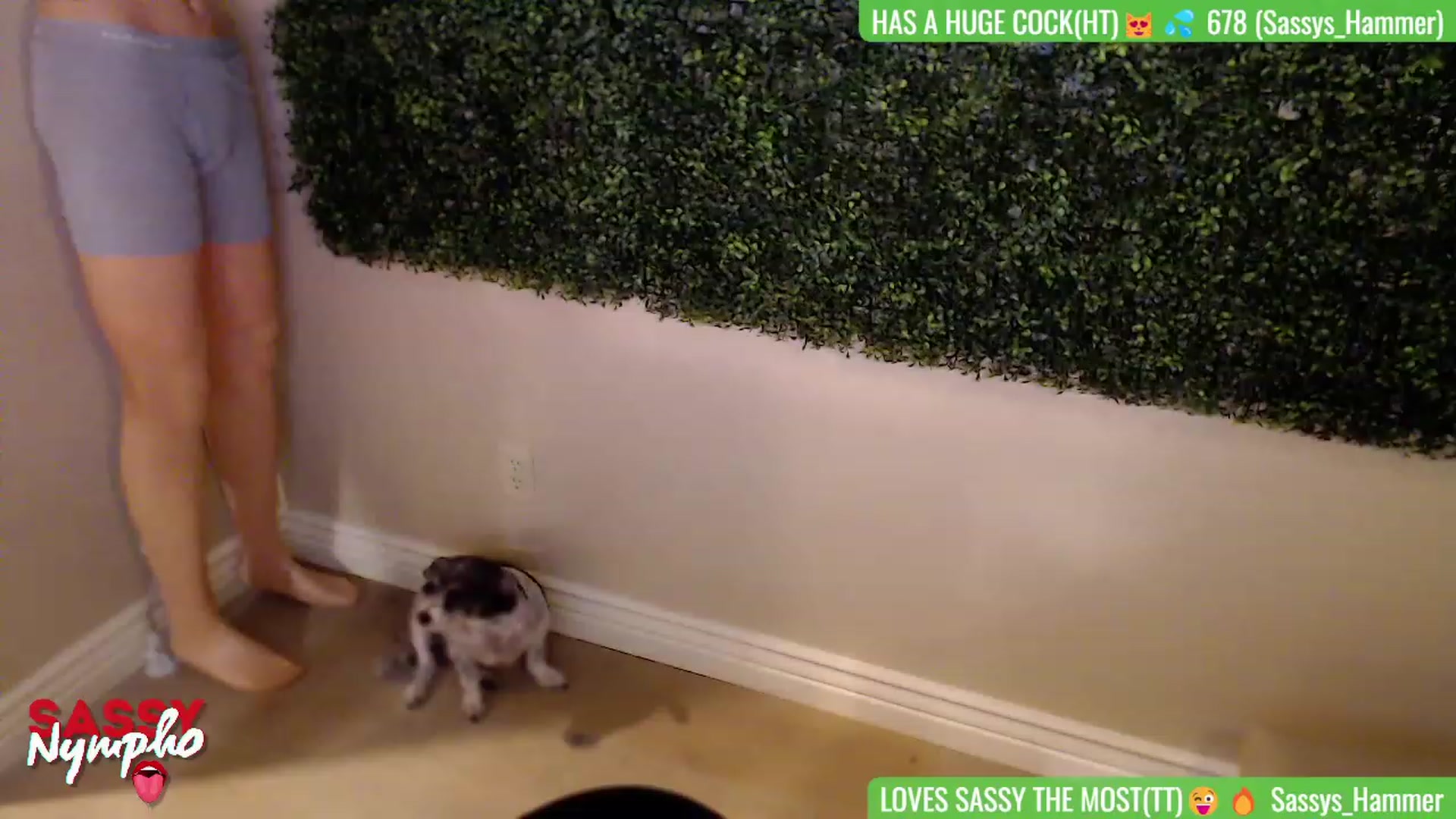 Gallery image thumbnail from Sassy_Nympho's myfreecams stream on, 06/11/2023, 07:12 image 17 of 20