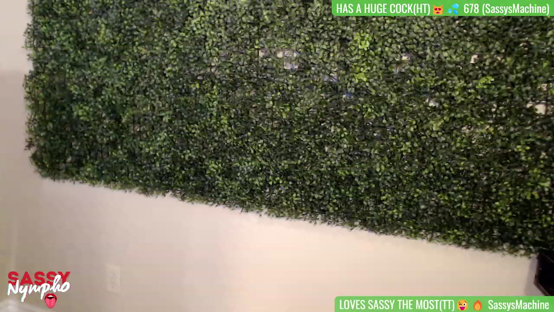 Gallery image thumbnail from Sassy_Nympho's myfreecams stream on, 06/24/2023, 01:10 image 4 of 20