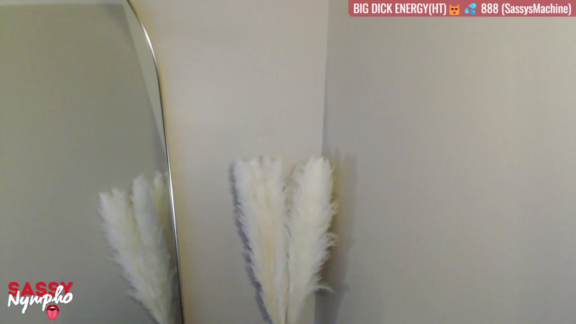 Gallery image thumbnail from Sassy_Nympho's myfreecams stream on, 09/28/2023, 03:05 image 9 of 20