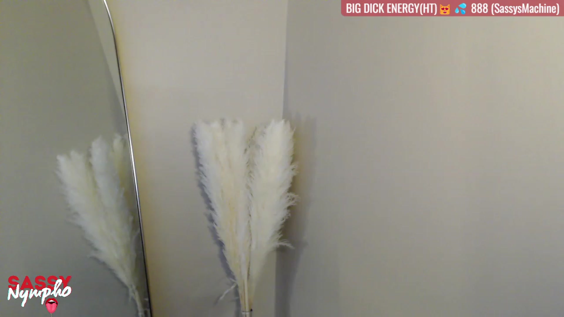 Gallery image thumbnail from Sassy_Nympho's myfreecams stream on, 09/28/2023, 05:09 image 13 of 20