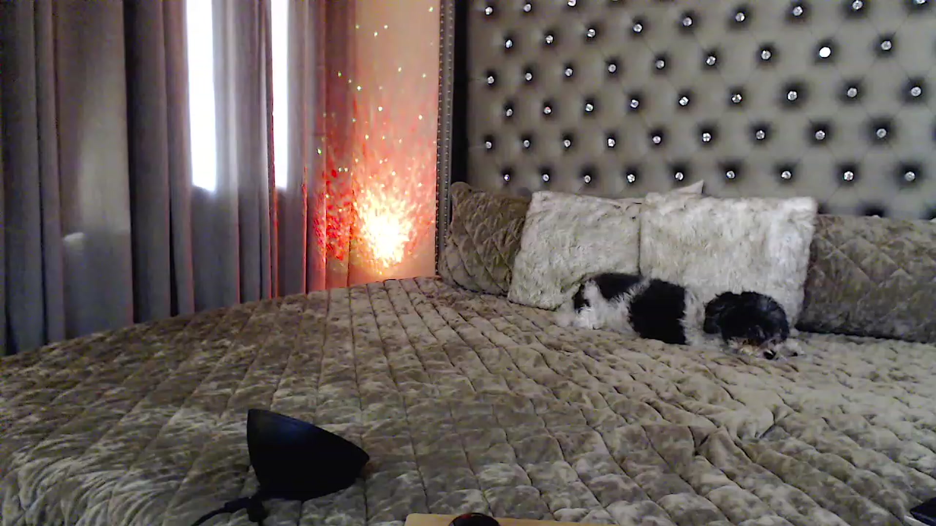 Gallery image thumbnail from Sassy_Nympho's myfreecams stream on, 10/09/2023, 15:51 image 15 of 20
