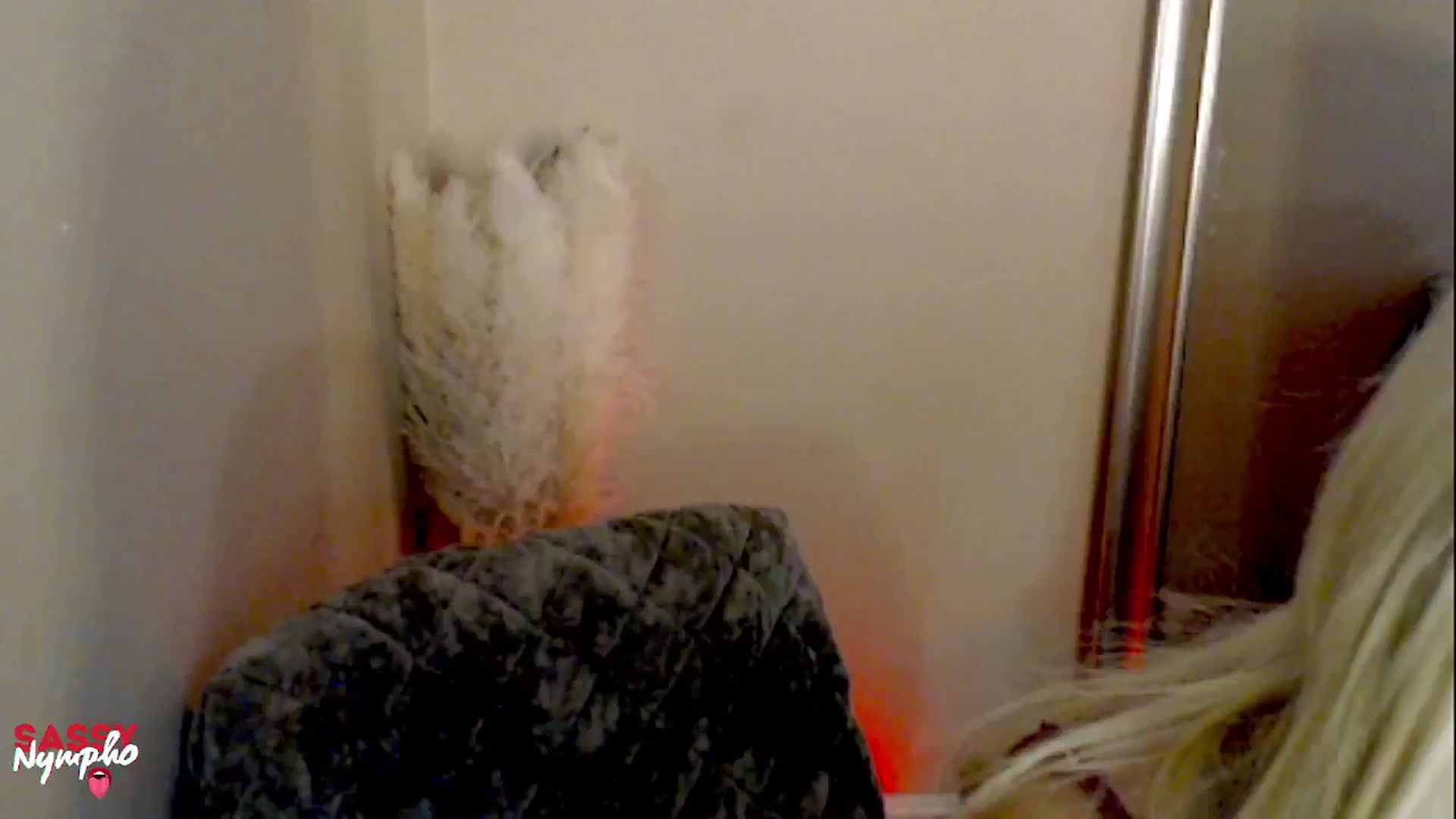 Gallery image thumbnail from Sassy_Nympho's myfreecams stream on, 02/04/2025, 17:07 image 1 of 20