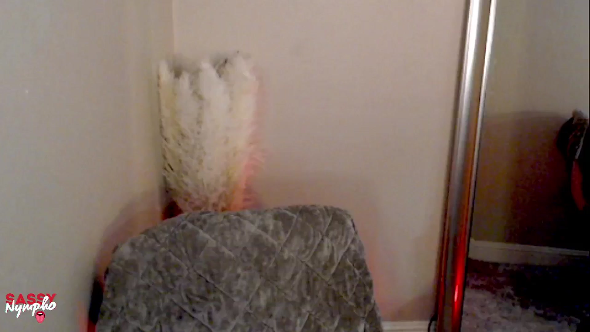 Gallery image thumbnail from Sassy_Nympho's myfreecams stream on, 02/04/2025, 18:53 image 8 of 20