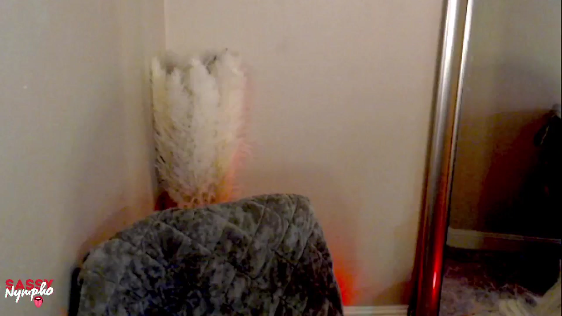 Gallery image thumbnail from Sassy_Nympho's myfreecams stream on, 02/04/2025, 18:53 image 5 of 20