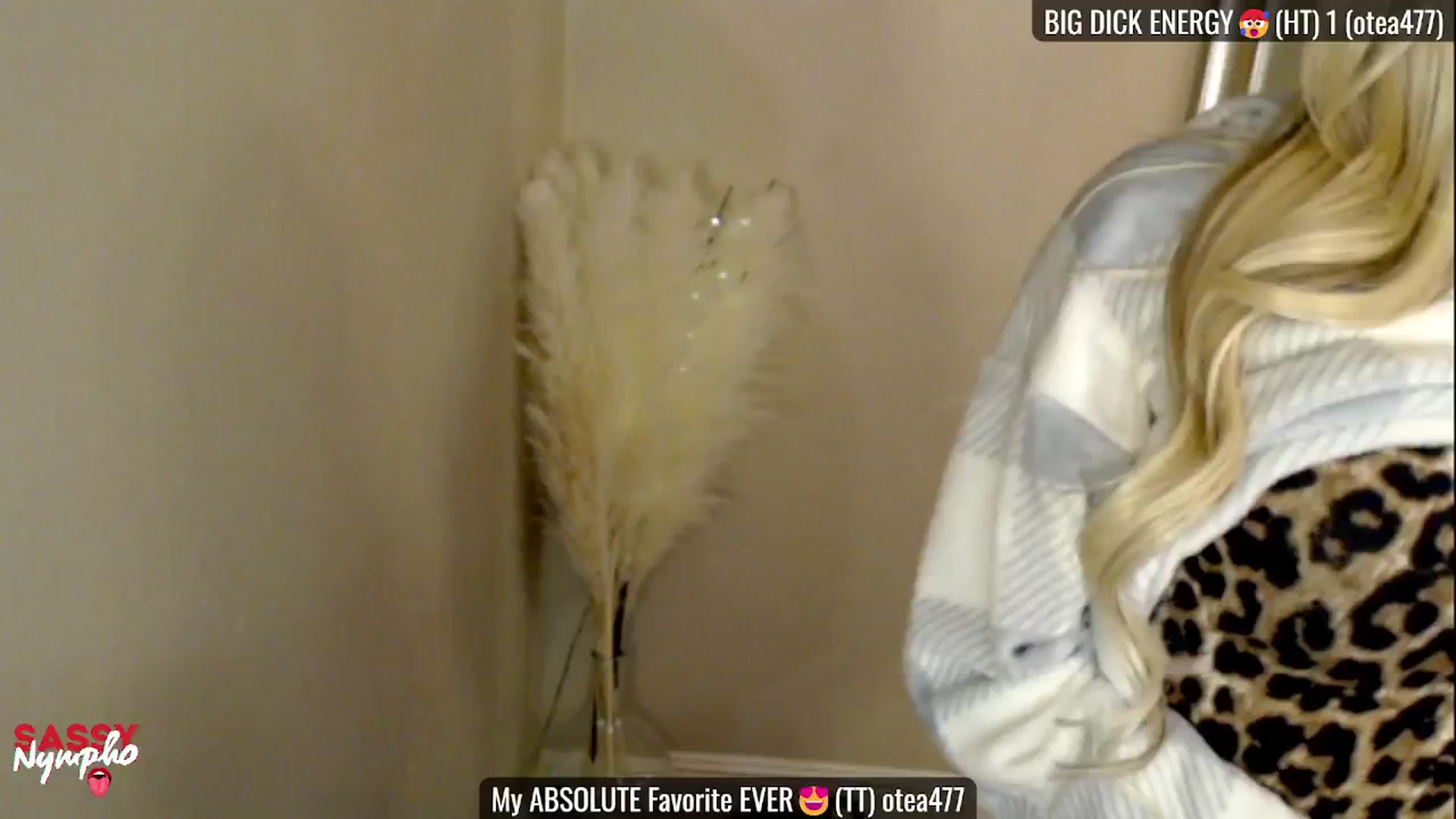 Gallery image thumbnail from Sassy_Nympho's myfreecams stream on, 02/08/2025, 14:57 image 4 of 20