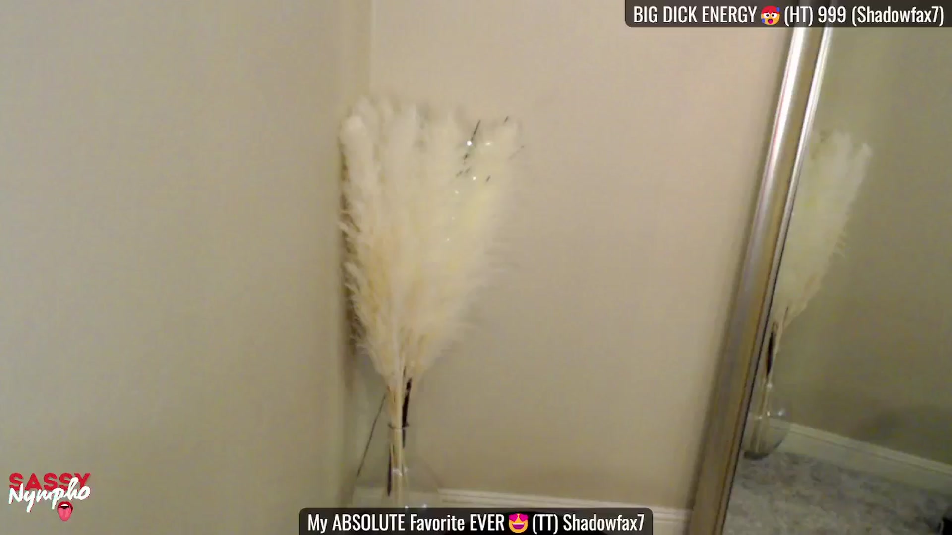 Gallery image thumbnail from Sassy_Nympho's myfreecams stream on, 02/08/2025, 19:18 image 4 of 20