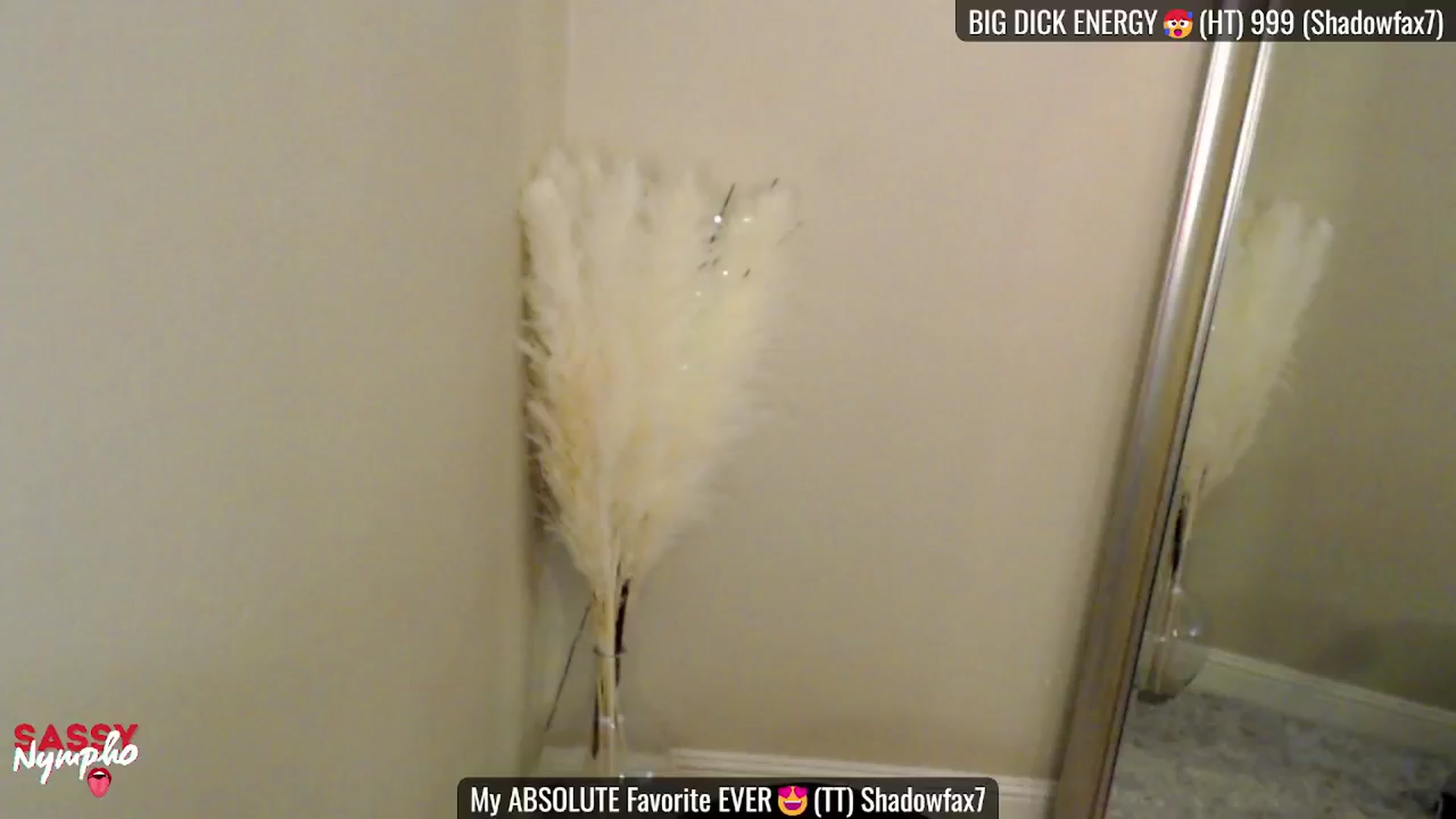 Gallery image thumbnail from Sassy_Nympho's myfreecams stream on, 02/08/2025, 19:18 image 14 of 20