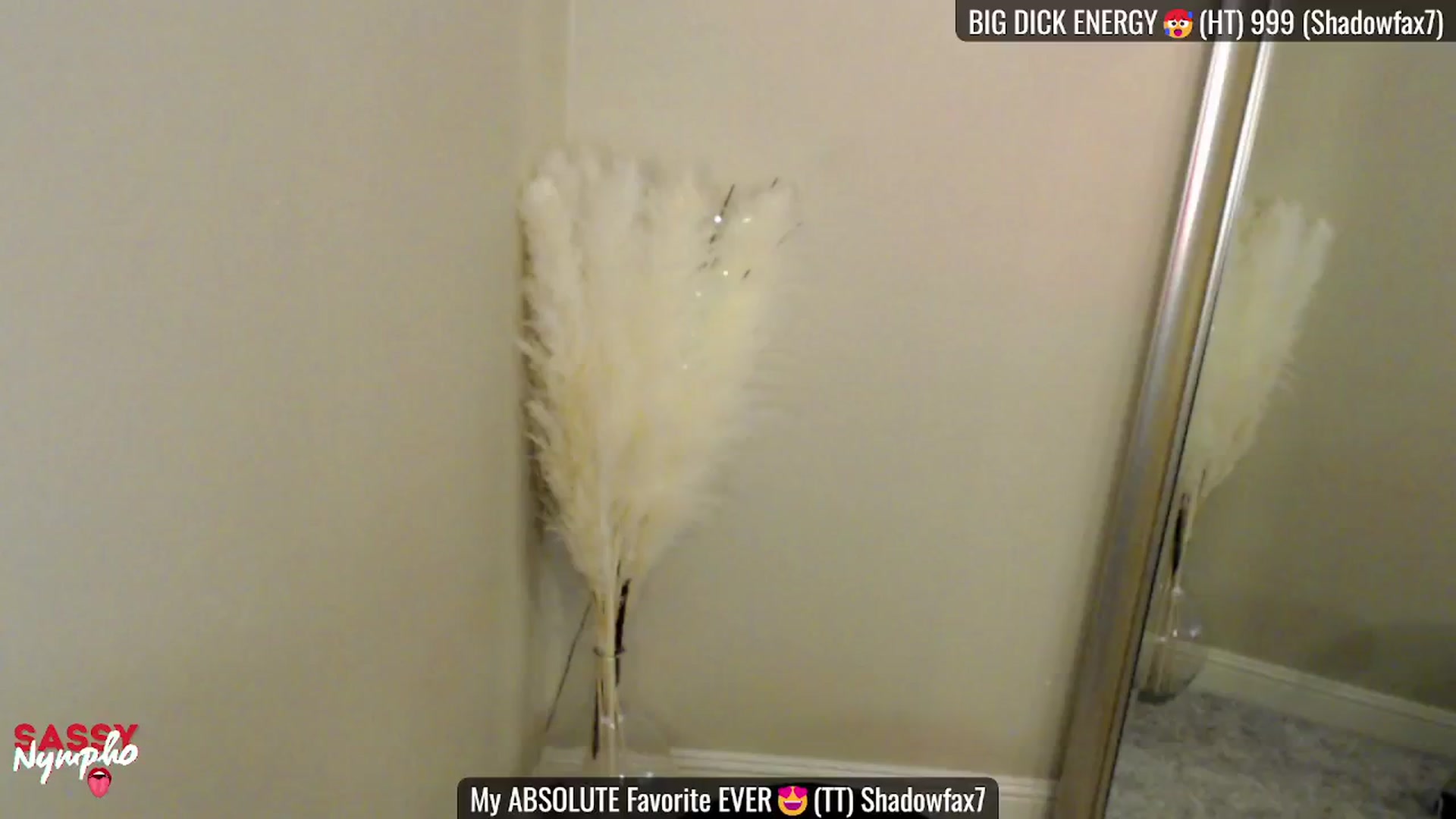 Gallery image thumbnail from Sassy_Nympho's myfreecams stream on, 02/08/2025, 19:18 image 13 of 20