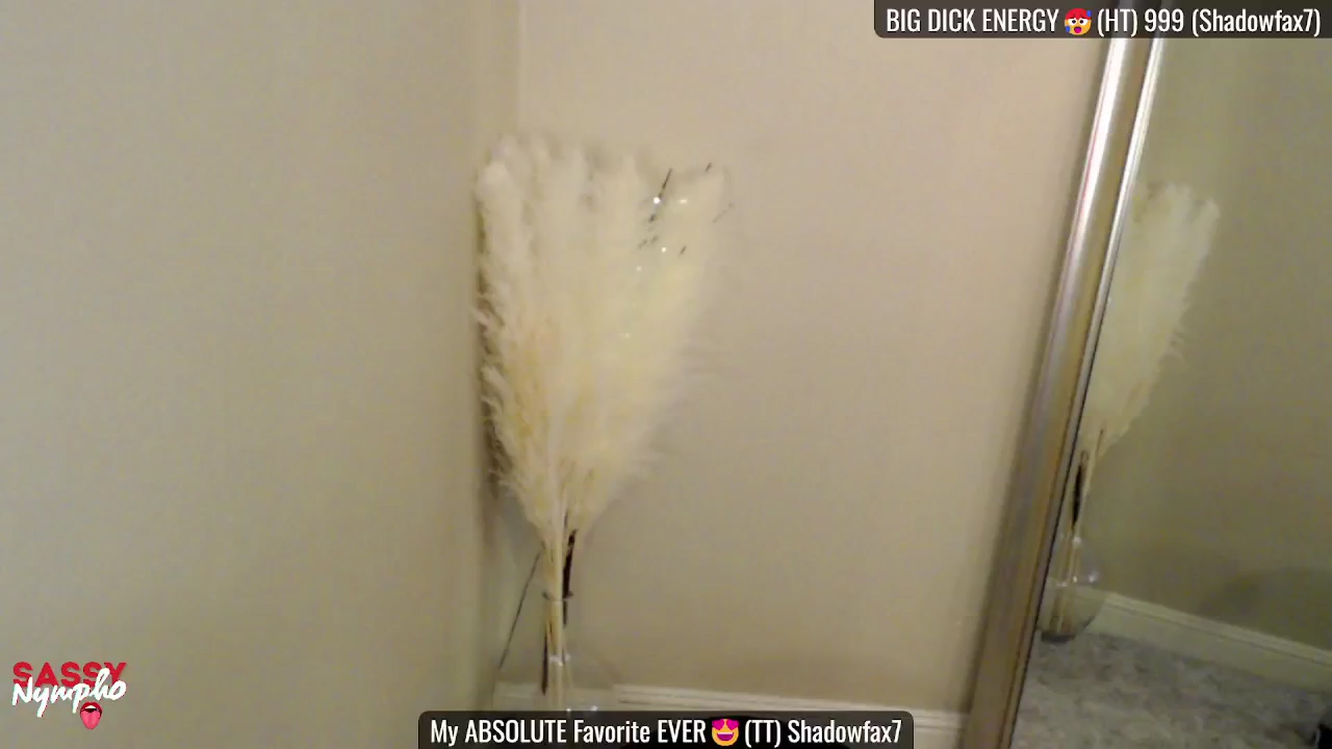 Gallery image thumbnail from Sassy_Nympho's myfreecams stream on, 02/08/2025, 19:18 image 3 of 20