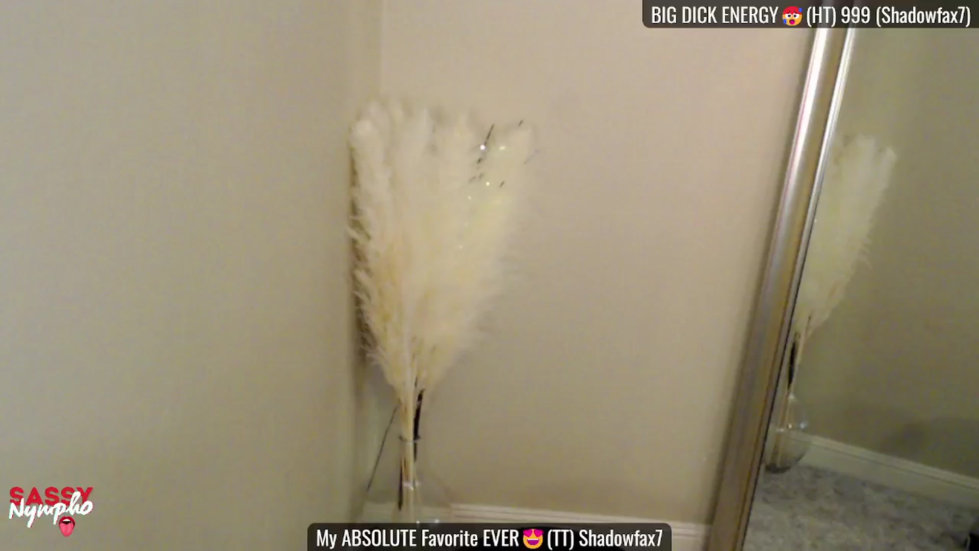 Gallery image thumbnail from Sassy_Nympho's myfreecams stream on, 02/08/2025, 19:18 image 9 of 20