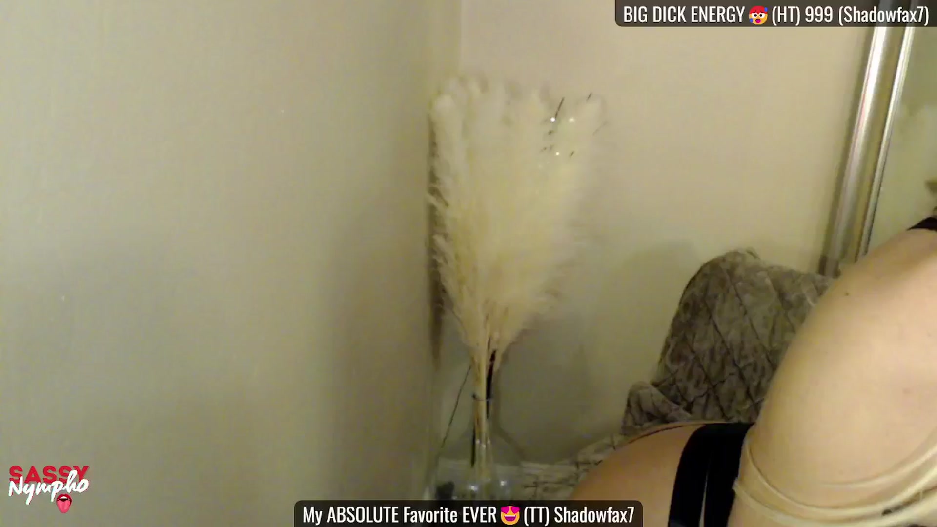 Gallery image thumbnail from Sassy_Nympho's myfreecams stream on, 02/09/2025, 24:02 image 7 of 20