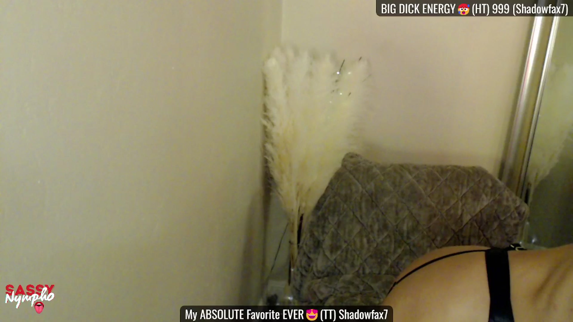 Gallery image thumbnail from Sassy_Nympho's myfreecams stream on, 02/09/2025, 01:18 image 20 of 20