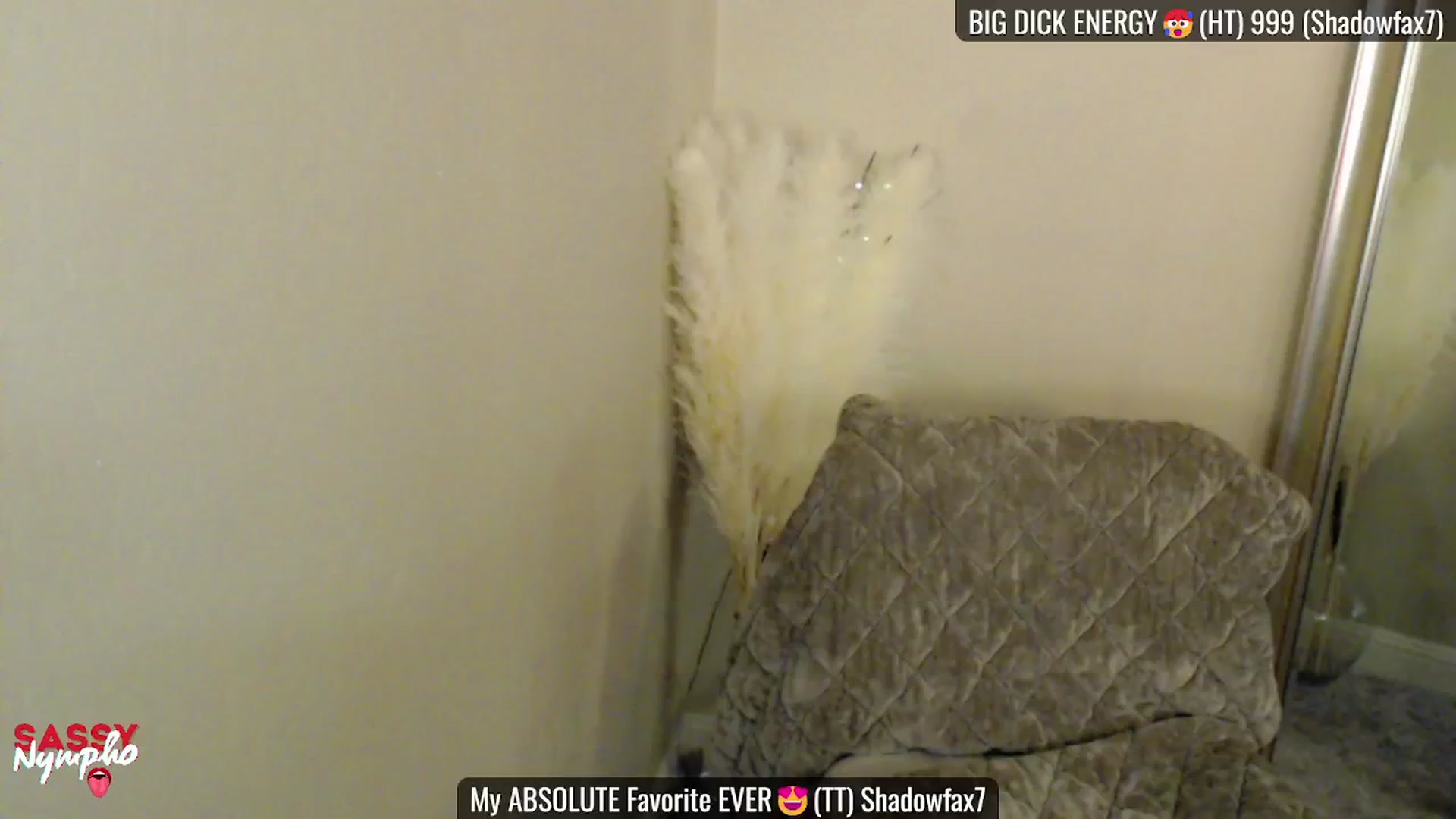 Gallery image thumbnail from Sassy_Nympho's myfreecams stream on, 02/09/2025, 01:18 image 6 of 20