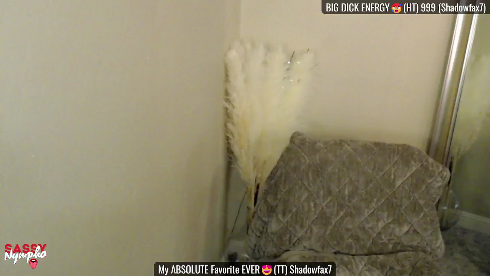 Gallery image thumbnail from Sassy_Nympho's myfreecams stream on, 02/09/2025, 01:18 image 1 of 20