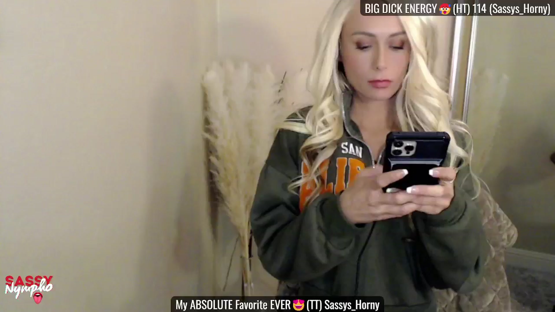 Gallery image thumbnail from Sassy_Nympho's myfreecams stream on, 02/15/2025, 20:23 image 1 of 20